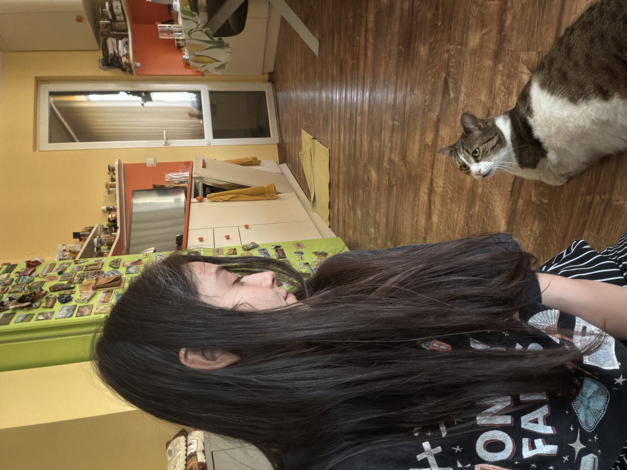 A young person with long, dark hair is sitting on a wooden floor in a kitchen, looking down at a tabby and white cat. The kitchen has yellow walls, a green refrigerator covered in magnets, and white cabinets. There is a door with a glass panel leading outside and shelves stocked with various items. The young person is wearing a black t-shirt with a graphic print and striped pants. The cat is lying on the floor, looking up at the person.