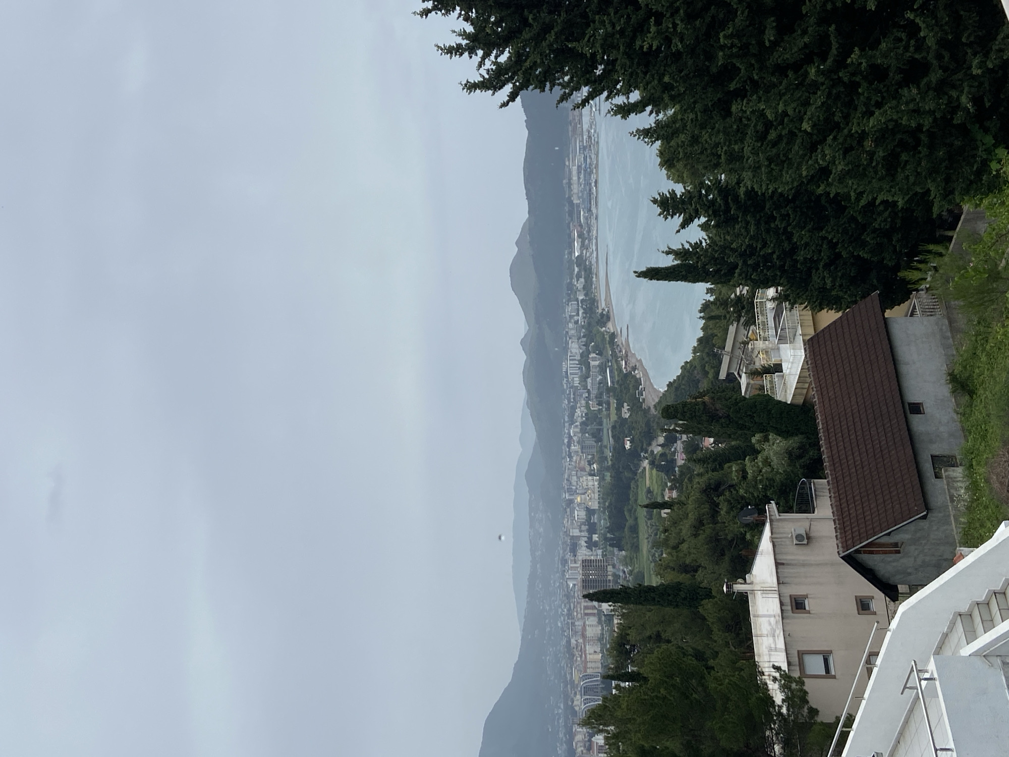 An elevated view of Šušanj, Montenegro, on an overcast day. In the distance, a coastline meets the sea with a city sprawling along it, backed by mountains. Residential buildings, some with brown roofs, are visible in the foreground amidst trees. White stairs are in the bottom right corner. The sky is uniformly gray.