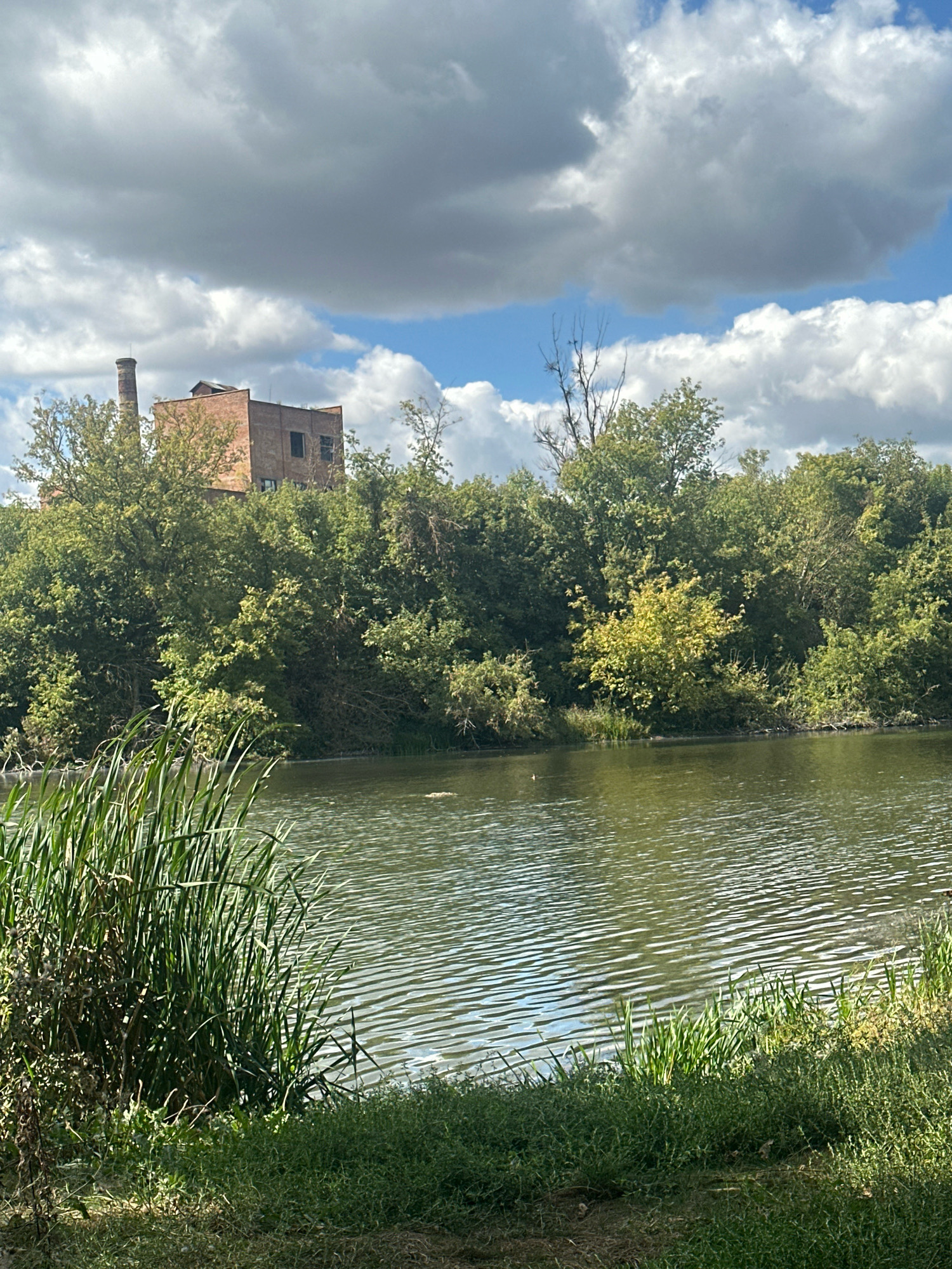 A wide shot captures a serene natural landscape with a body of water in the foreground, likely the local river or pond in Makiv, Ukraine. The water is calm, reflecting the sky and surrounded by lush green vegetation, including tall reeds and grasses along the bank. In the background, a dense line of trees forms a verdant barrier, behind which peeks a large, old brick building with a tall smokestack, suggesting a former industrial site. The sky above is a mix of dramatic gray clouds and bright blue patches, indicating a dynamic weather day. No people or animals are prominently visible, making it a peaceful, natural scene.