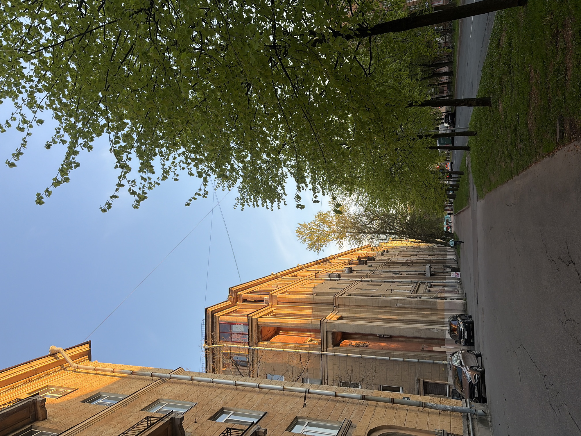 The image shows a street scene in Saint Petersburg, Russia. The perspective is tilted upward, focusing on the facades of buildings along a street with trees overhead. The buildings are multi-story, constructed of stone or concrete, with visible architectural details like windows, columns, and decorative elements. The lighting suggests late afternoon or early morning, with sunlight illuminating the buildings' surfaces. Below the buildings, two cars are parked along the street. The sky is blue and a power line is visible. Trees with green leaves canopy overhead. The street itself is paved, and there is a grassy verge on the right side. The scene is generally urban and residential.