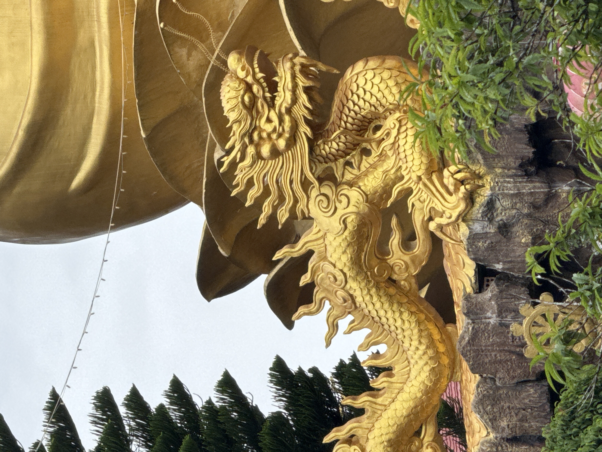 The image shows a close-up view of a golden dragon statue situated on a rocky outcrop, with lush green foliage in the foreground. The dragon is intricately detailed, with scales, sharp teeth, and flowing mane, appearing to be part of a larger, golden structure, possibly a temple or monument, which is partially visible in the background. Behind the dragon and to the left, a coniferous tree with dark green needles is visible against a pale, overcast sky. A string of small, white lights stretches across the upper portion of the frame, suggesting a decorative element. The overall impression is of a cultural or religious site. This specific dragon statue is a prominent feature of the Dinh Thuong Lam Vien, a Buddhist temple located in Da Lat, Lam Dong Province, Vietnam.