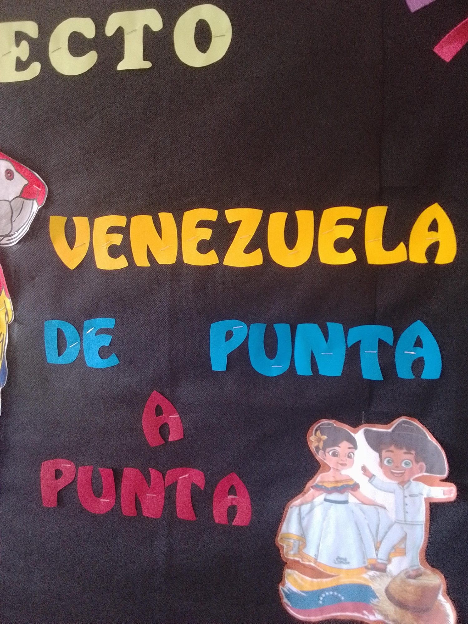 The image shows a bulletin board display with colorful cut-out letters and images. The background is a dark fabric, likely a blackboard or dark poster board. At the top, large, light yellow letters spell out "ECTO". Below that, in bright yellow, are the words "VENEZUELA". Further down, in bright blue, the words "DE PUNTA" are displayed. Finally, in red, are the letters "A PUNTA".
To the left of the text, a drawing of a parrot's head with red and white coloring is visible. To the lower right of the text, there are cut-out illustrations of a boy and a girl dressed in traditional Venezuelan attire. The girl wears a white dress with colorful trim and a flower in her hair, while the boy is in a white outfit with a cowboy-style hat. They are standing on a surface that includes a depiction of the Venezuelan flag.
The overall presentation suggests a school project or a decorative display related to Venezuela, possibly for a cultural event or lesson. The brightly colored letters and illustrations create a cheerful and educational atmosphere. The location context indicates this display is in Santa Ana, Venezuela.