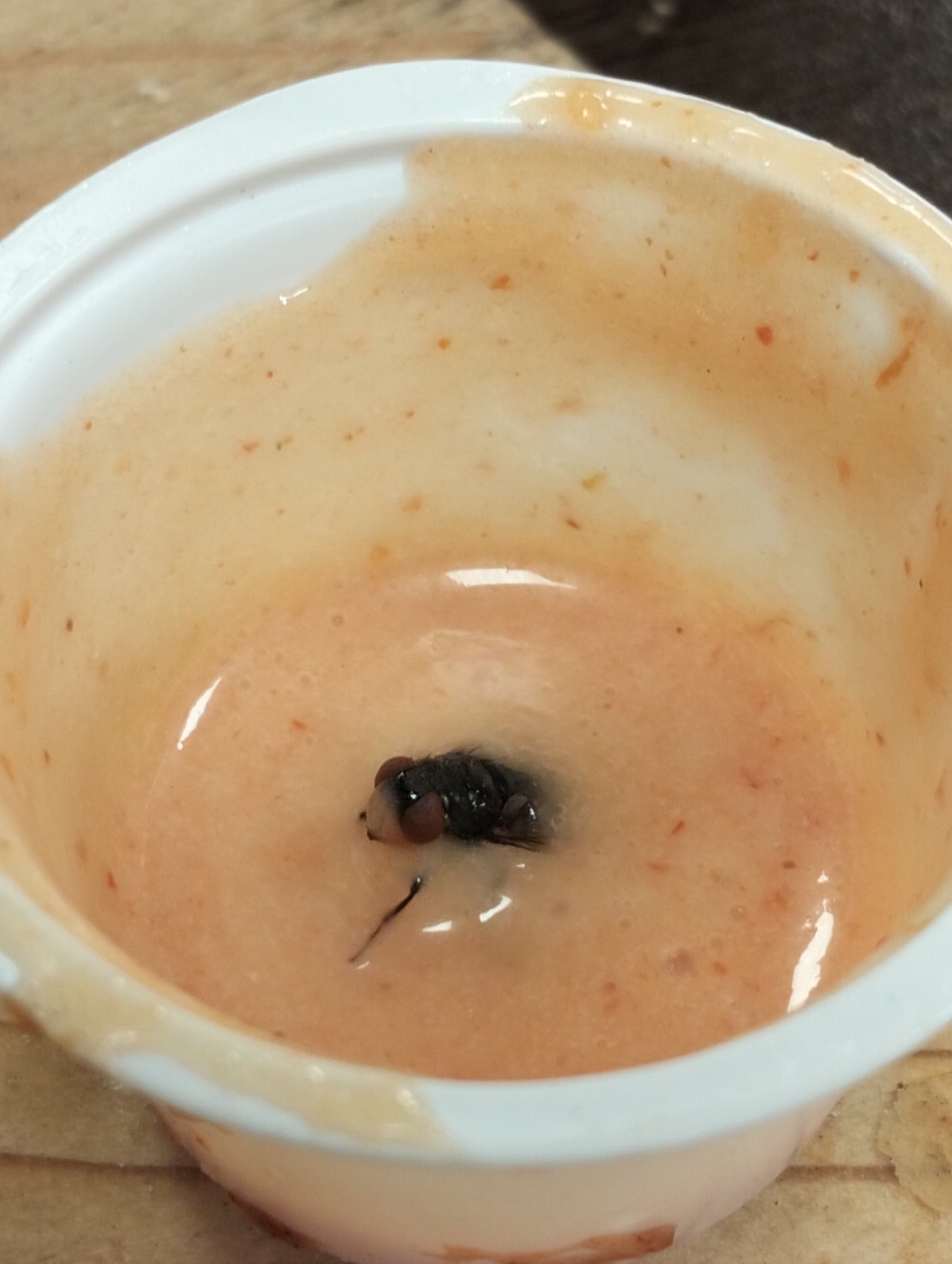 A close-up shot shows a small, white plastic container filled with an orange-peach-colored liquid. A dead fly is submerged in the liquid, with one of its legs clearly visible. The liquid has small red and orange specks throughout. The image appears to be taken indoors, and the background is a blurry light-brown surface. The location is unknown.