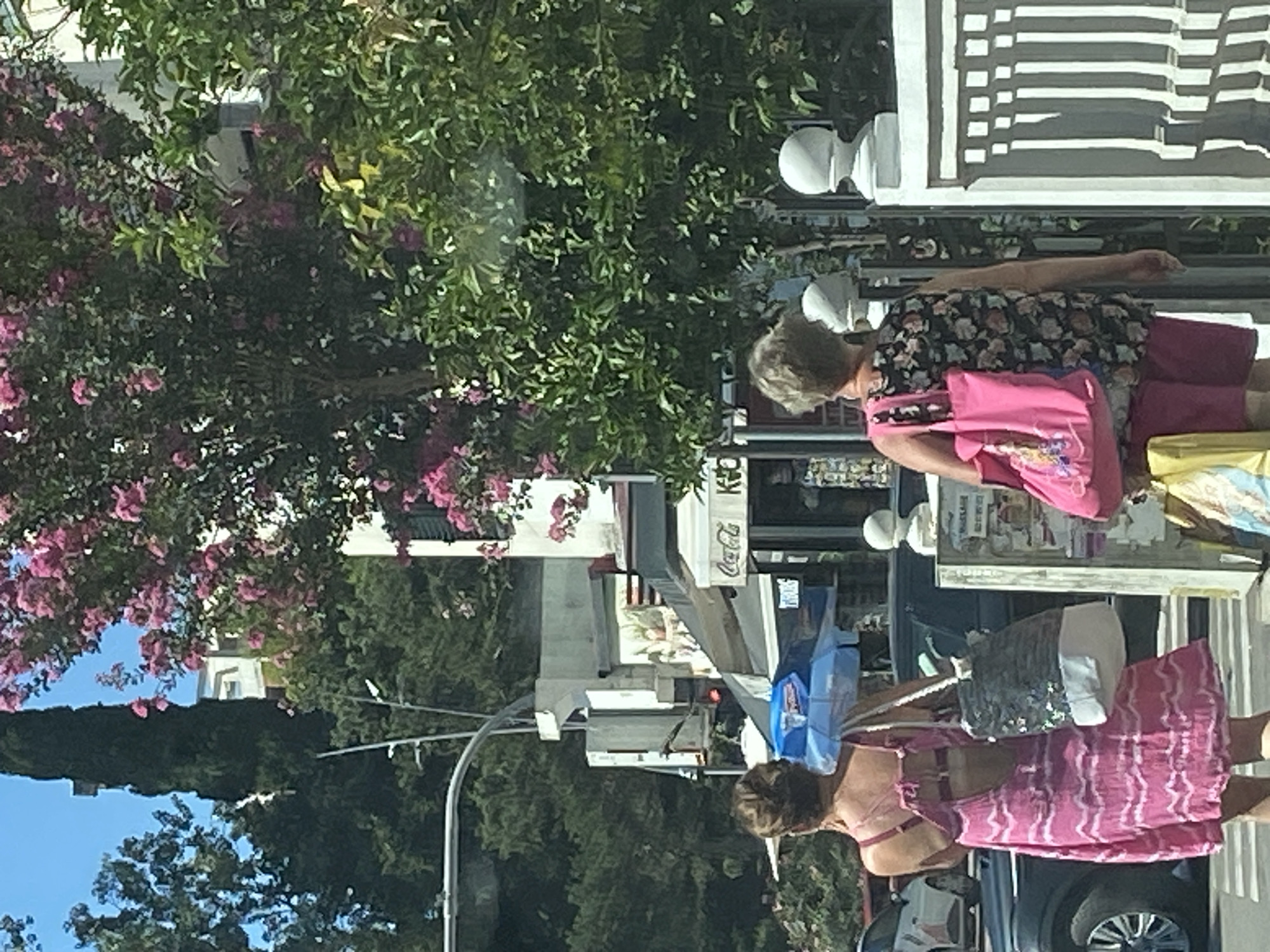 In Budva, Montenegro, a full shot captures a sunlit, street-level scene. Two women, viewed from behind, walk on a sidewalk. The woman on the left wears a pink patterned dress and carries a patterned tote bag. The woman on the right wears a dark floral print top and pink shorts, carrying a bright pink tote bag. Behind them, a white railing with decorative spheres stands beside a street. Various trees, including one with vibrant pink blossoms, and a building with shops are visible in the background. The sky is blue.