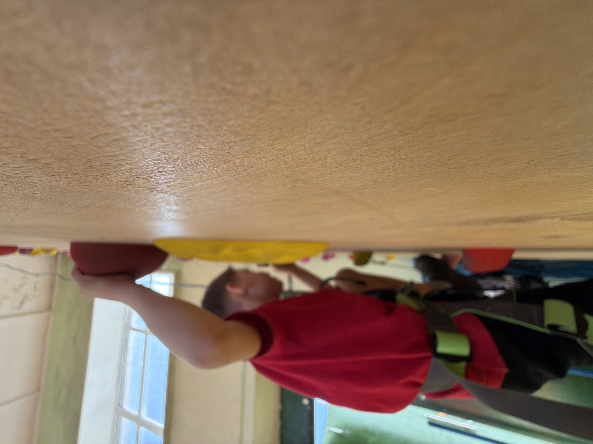 A young person is suspended from a climbing wall indoors. They are wearing a red shirt and climbing harness. Their left hand is gripping a red hold, and another yellow hold is visible. The climbing wall is brown. In the background, there are walls, a window, and a green surface, potentially part of the climbing area. The image orientation makes it appear the subject is climbing upside down. Location is not specified in the prompt, therefore I cannot specify whether or not this is Izhevsk, Russia.
