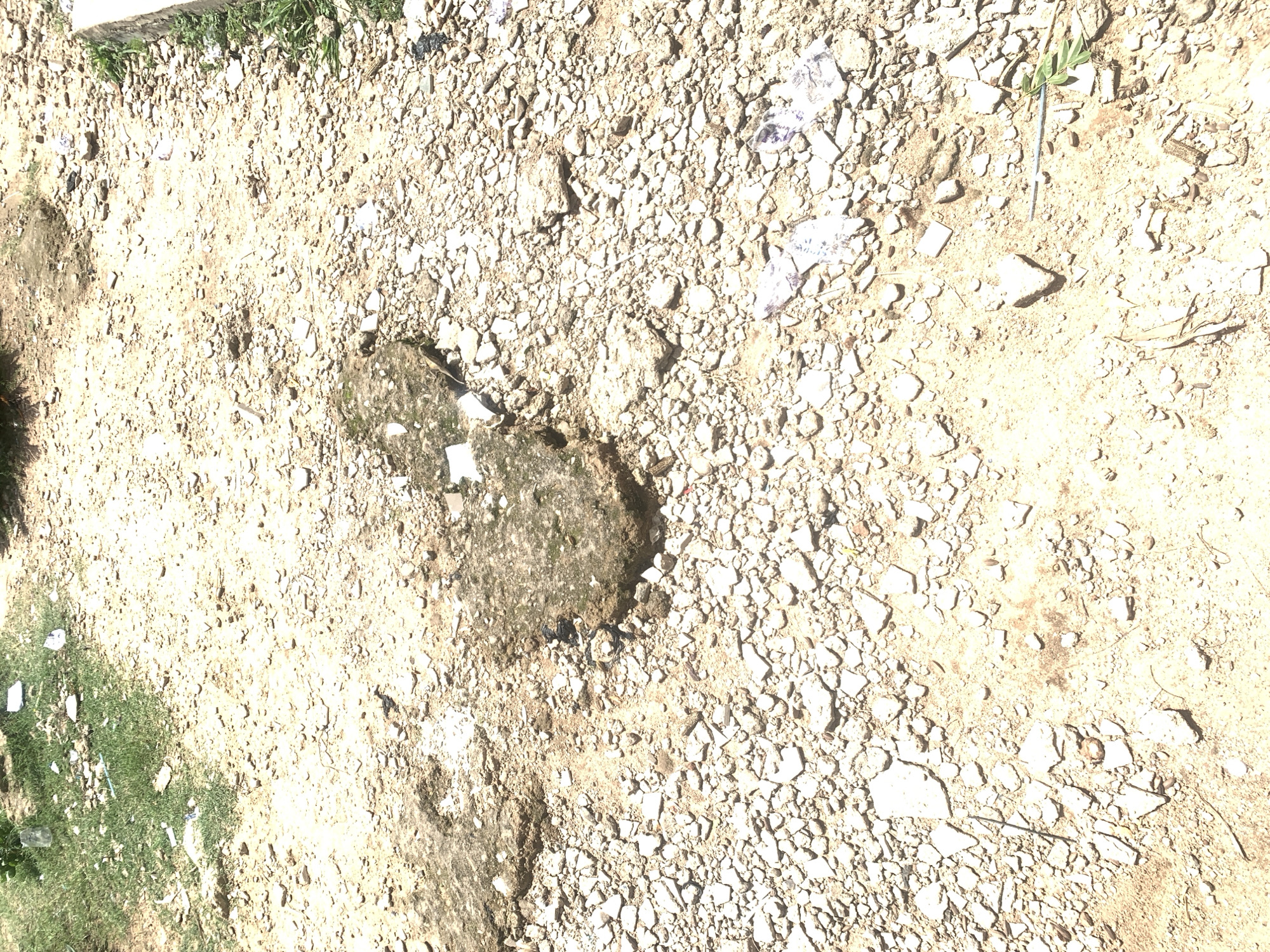 The image shows a close-up, overhead view of a patch of dry, sandy ground littered with small rocks and debris. The ground is predominantly light brown and beige, with a scattering of white and gray fragments. In the upper left corner, a strip of green grass is visible, suggesting the edge of a lawn or a vegetated area. There are a few scattered white pieces of what appear to be paper or plastic.
In the center-left of the image, there is a darker, slightly damp-looking patch of earth, possibly indicating a recent spot of moisture or a depression that has collected water. This area is surrounded by the typical dry, rocky ground.
Towards the right side of the image, a few small green leaves sprout from the ground, adding a touch of color to the otherwise arid scene. The overall impression is of an outdoor environment that is exposed to sunlight, likely during the day. There are no people or animals visible in the frame. The setting appears to be an undeveloped or unkempt area, possibly a construction site, a vacant lot, or a pathway. The texture of the ground is rough and uneven. The lighting suggests it is daytime with bright sunlight creating some shadows. There is no discernible text in the image.