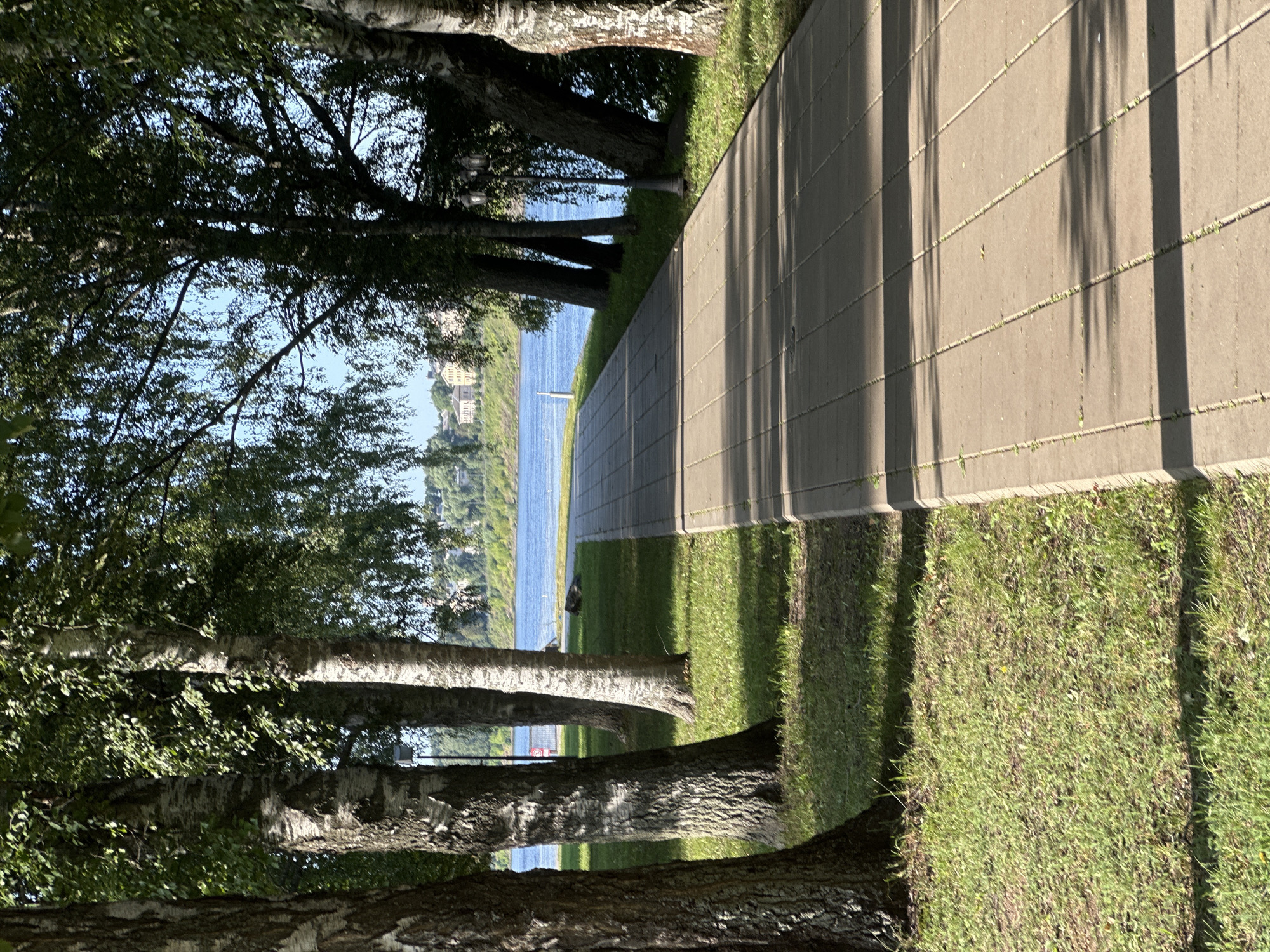 The image shows a paved walkway running alongside a body of water, likely a river, on a sunny day. The walkway is made of rectangular concrete pavers and is bordered by a grassy area on one side and the water on the other. Several trees with thin, light-colored bark, characteristic of birch trees, line the grassy area. Their leaves are green and lush, indicating it is likely summer. In the background, across the water, there are buildings visible on a hill, suggesting a populated area. A traditional black lamppost stands near the walkway, casting a shadow. The scene appears to be a park or waterfront promenade in the city of Selivanovo, Russia, offering a tranquil outdoor setting. There are no people present in the image.