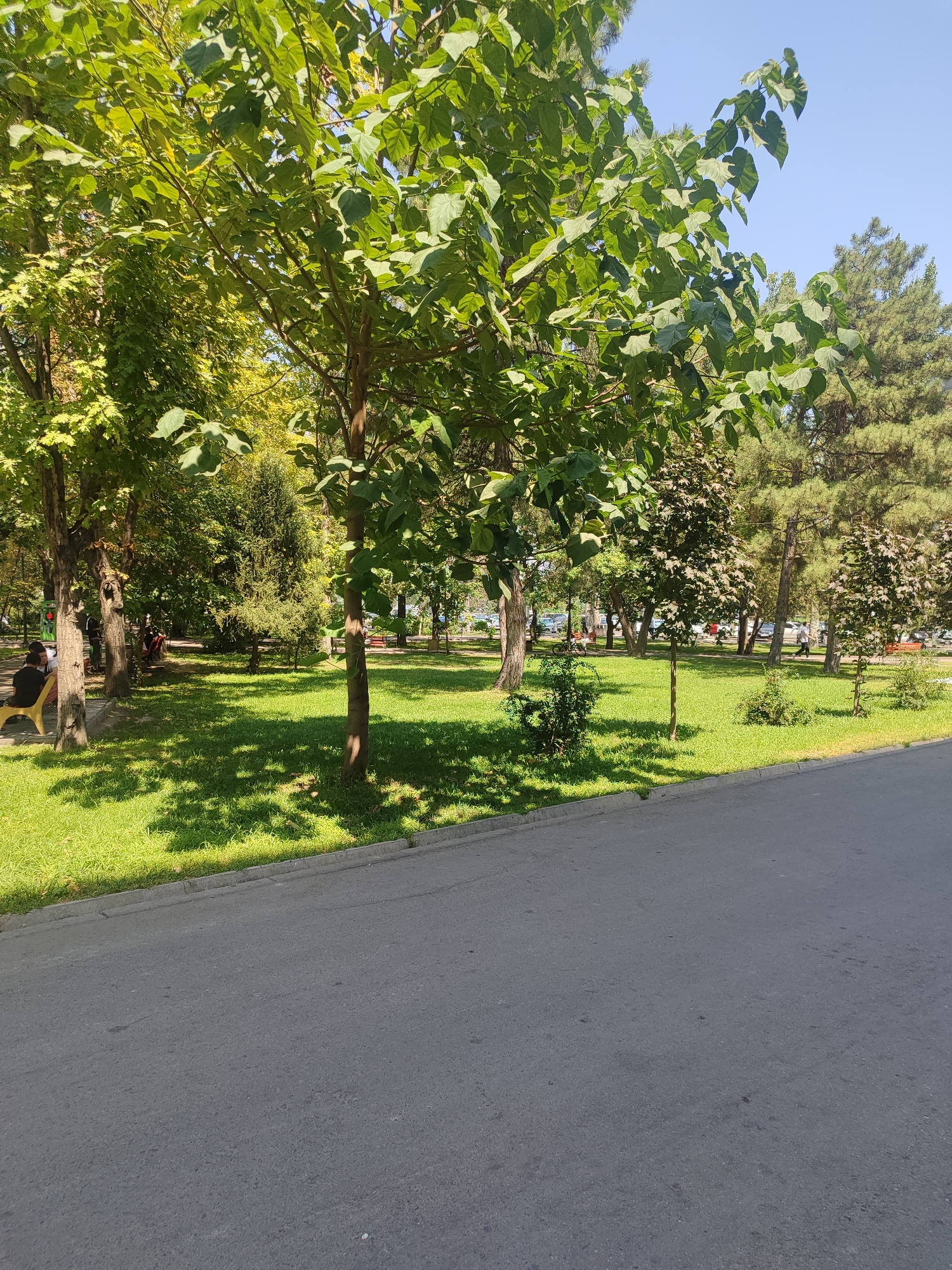 Memory