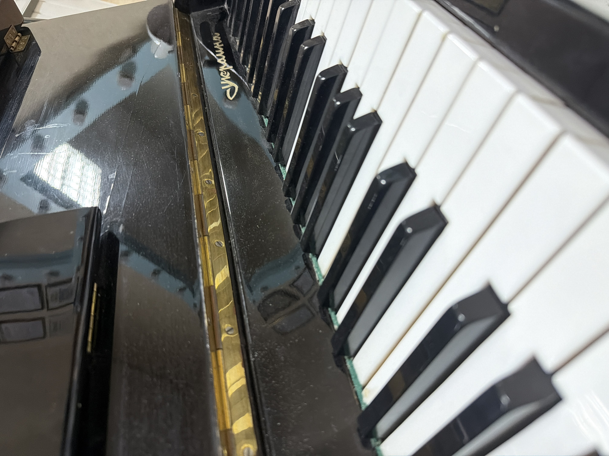 A high-angle, close-up shot captures the keyboard and a section of a glossy black musical instrument, likely an accordion, from a top-left perspective angled towards the right. The instrument's black body dominates the left and central parts of the frame, exhibiting reflections of what appear to be indoor light sources or window panes on its polished surface. The surface shows minor dust accumulation and some fine scratches.
A golden or brass-colored hinge or decorative strip, secured by small screws, runs vertically along the left edge of the keybed. Above the keys, on the black body, the word "Украина" (Ukraina), meaning "Ukraine," is prominently displayed in stylized golden script.
The keyboard itself features numerous white keys and several black keys arranged diagonally across the image. The black keys have a slightly textured or matte surface on their tops. A thin strip of what appears to be green felt or padding is visible beneath the black keys, suggesting age or typical construction. No people are present, and no specific activity is occurring. The image focuses solely on the details of the instrument.