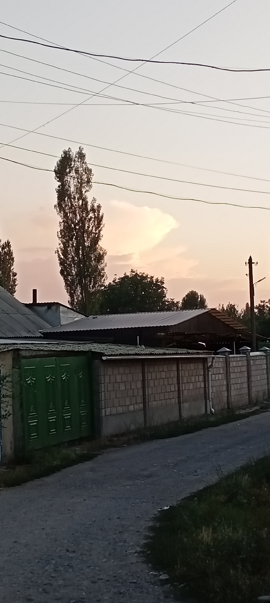 The image shows a street scene in Sokuluk, Kyrgyzstan, during what appears to be sunset or dawn. A narrow, unpaved road occupies the foreground, with patchy grass on the right side. A low wall constructed of light-colored cinder blocks stretches across the middle ground, topped with decorative concrete pillars. To the left of the wall is a green, ornate metal gate, suggesting an entrance to a property. Behind the wall, several buildings with corrugated metal roofs are visible, including what appears to be a long, shed-like structure. A tall, slender tree with sparse foliage stands prominently behind the buildings, silhouetted against a pale sky. Overhead, a complex network of electrical wires crisscrosses the sky, with a utility pole visible on the far right. The overall impression is of a rural or semi-urban residential area.