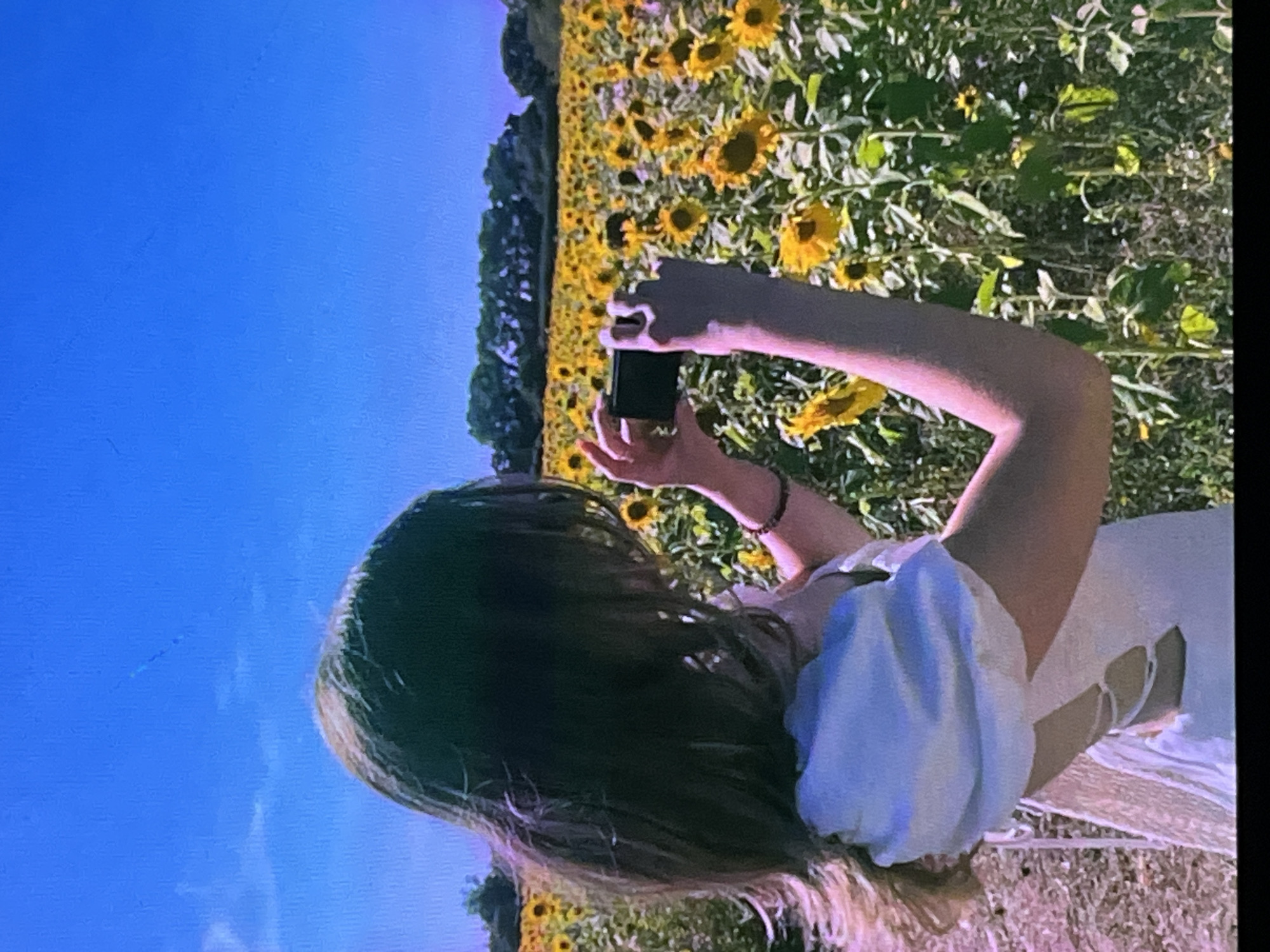 A person is standing in a sunflower field, taking a photo with a phone. The person is wearing a white dress and has long, dark hair. The field is full of sunflowers, and the sky is blue with some clouds. The location is not specified as Cadek, Indonesia.