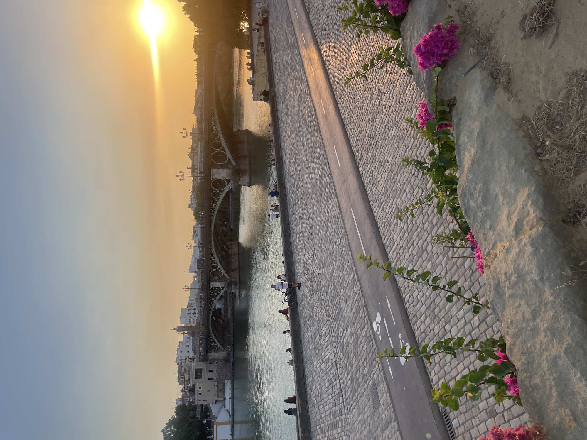 This image captures a scenic sunset view of the Guadalquivir River in Seville, Spain, likely from the Triana side looking towards the city center and the Puente de Isabel II (Triana Bridge). The sky is a gradient of warm oranges and yellows near the setting sun on the right, transitioning to a soft blue towards the left.
In the foreground, a wide, cobblestone pathway occupies the lower half of the frame. A dedicated bike lane, marked with white lines and a bicycle symbol, runs diagonally across the cobblestones, reflecting the golden light of the sunset. Several individuals are casually seated or standing along the low wall bordering the river, enjoying the view. A person is standing with a bicycle near the seated group.
The river itself is calm, with its surface reflecting the warm hues of the sky and the silhouette of the bridge. The Puente de Isabel II is a prominent arched bridge spanning the river. On the far bank, the cityscape of Seville is visible, featuring buildings with traditional architecture, including a prominent tower. Lush green trees line the riverbank and the cityscape. In the immediate foreground, a low stone wall is adorned with vibrant pink bougainvillea flowers and green foliage, adding a touch of natural beauty to the urban landscape. The overall atmosphere is peaceful and serene, indicative of a late afternoon or early evening spent relaxing by the river.