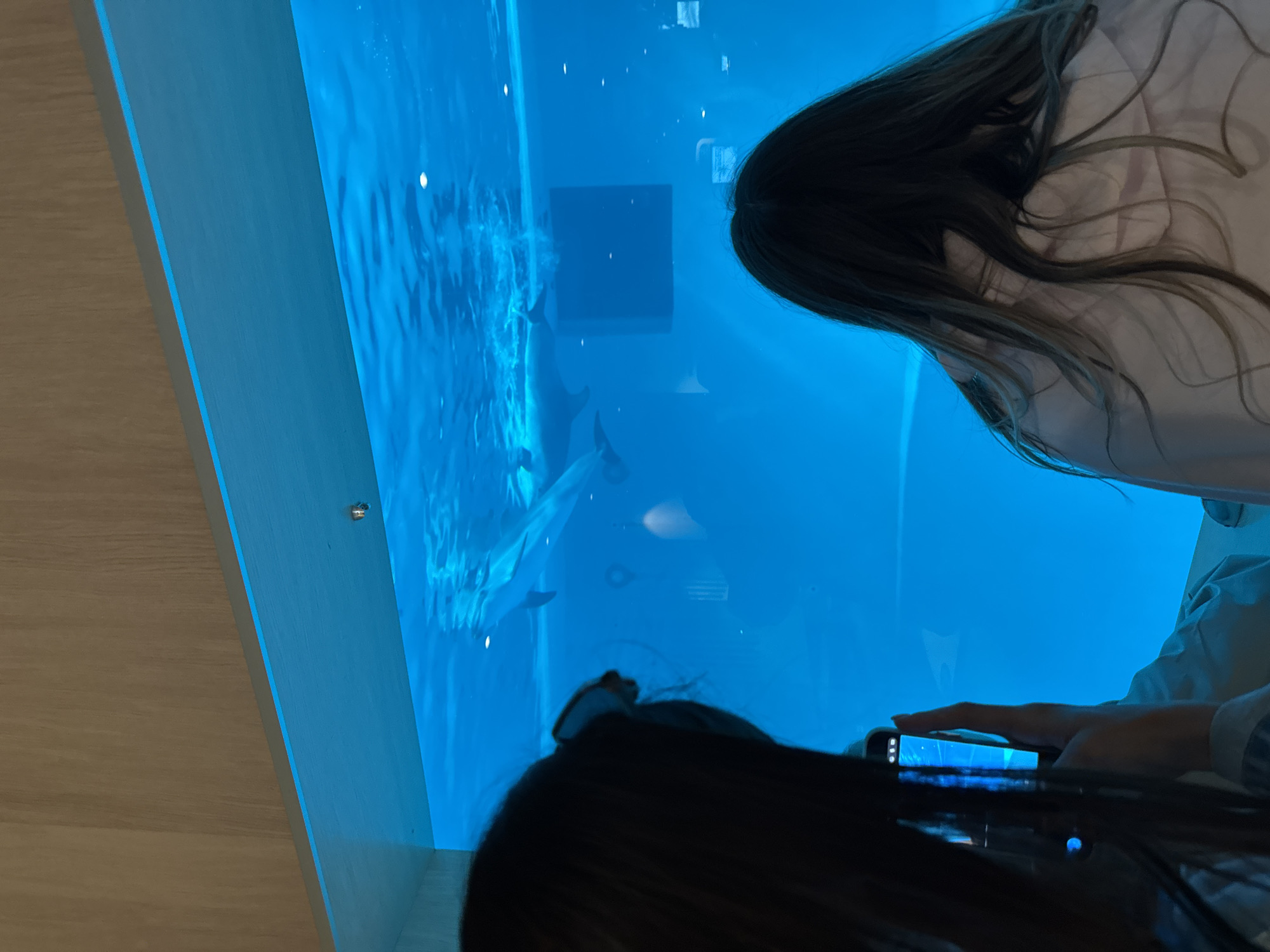 The image shows an indoor scene, seemingly at an aquarium. There are two people, both with long dark hair, viewing a large tank filled with water. One person is taking a photo of the tank with a smartphone. Inside the tank, there is at least one marine animal, possibly a dolphin or shark, swimming in the blue-toned water. The scene is likely inside Sochi's Oceanarium, a popular tourist attraction located in Sochi, Russia.