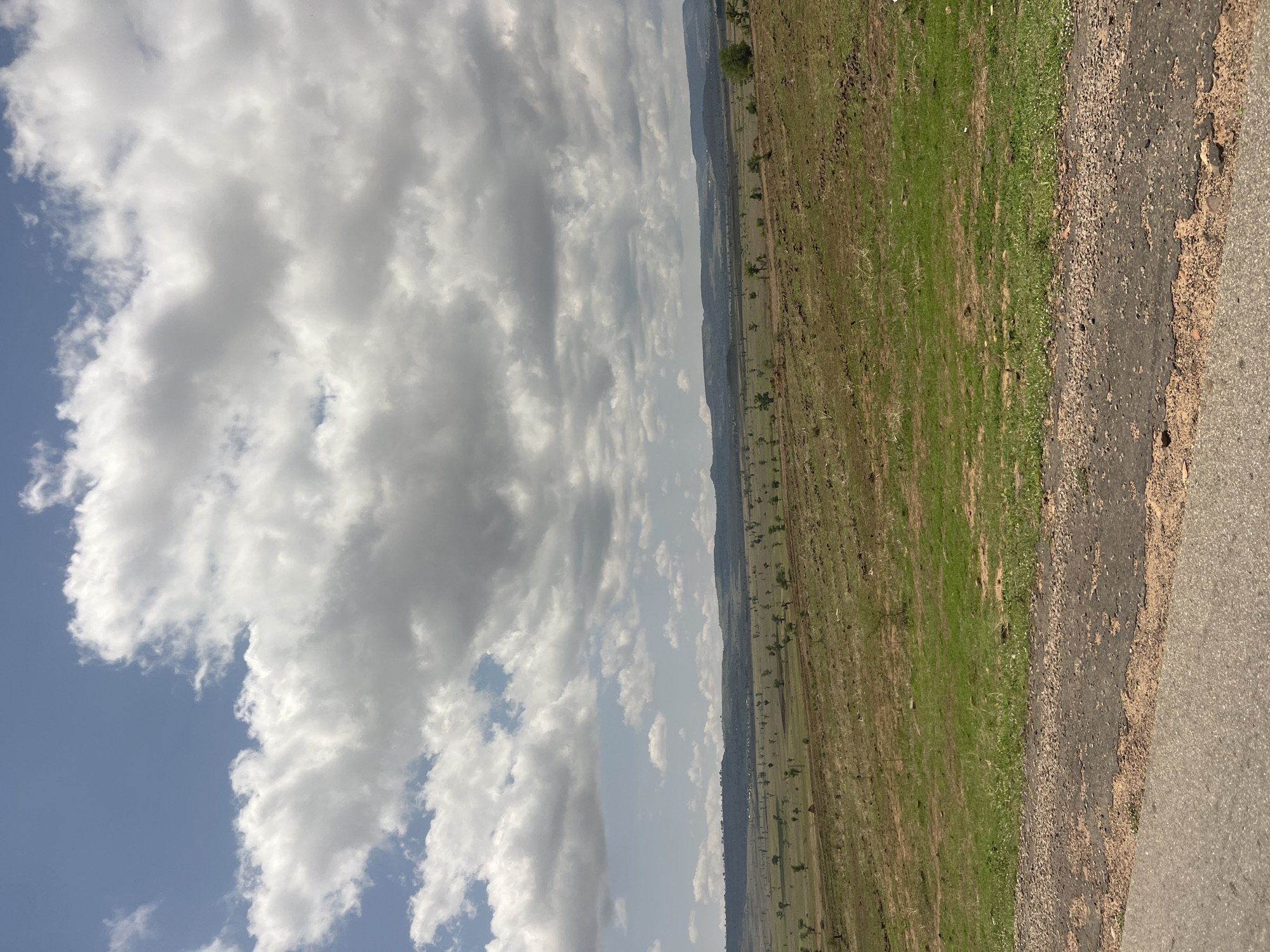 The image depicts an expansive rural landscape under a partially cloudy sky. Large cumulus clouds, varying from white to light grey, dominate the upper portion, with patches of clear blue sky visible between them. The horizon reveals a series of distant, undulating hills or low mountains stretching across the frame.
The midground is characterized by vast, open fields, predominantly earth-toned with significant patches of green vegetation, indicative of grassland or agricultural land. Numerous small, scattered trees with sparse foliage are distributed across this terrain, appearing somewhat evenly spaced but not forming dense forests. Faint indications of distant structures or settlements can be discerned near the base of the distant hills.
In the foreground, a paved road occupies the bottom left, angling upwards and right. Immediately adjacent to the road is a rough shoulder composed of broken asphalt, gravel, and sandy earth, transitioning into a grassy verge before meeting the open fields. The road surface shows signs of wear. No people, animals, or active subjects are visible within the scene. The environment is open and natural, suggesting a pastoral or agricultural setting in the vicinity of Chum, Nigeria.