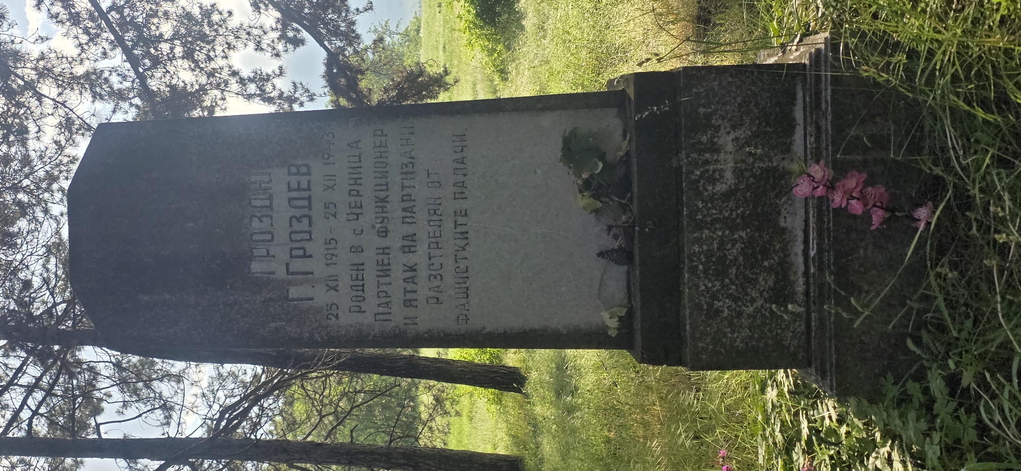 The image depicts a weathered headstone in a grassy, overgrown area, likely a cemetery. The headstone reads "ГРОЗДЮ Г. ГРОЗДЕВ 25 XII 1915 - 25 XII 1943 РОДЕН В С. ЧЕРНИЦА ПАРТИЕН ФУНКЦИОНЕР И ЯТАК НА ПАРТИЗАНИ РАЗСТРЕЛЯН ОТ ФАШИСТКИТЕ ПАЛАЧИ." (Grozdyu G. Grozdev, Born in Chernica, partisan functionary, and an ally of the partisans, shot by the fascist executioners). The stone is partially covered with greenery, including some pink flowers. Trees surround the headstone, suggesting a wooded area. The location is likely near the city of Esen, Bulgaria, where the village of Chernica is located.