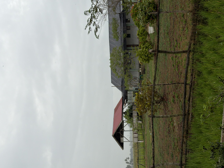 The image displays a rural landscape in Keudekarieng, Indonesia, under an overcast sky. In the foreground, a field of vibrant green rice paddies occupies the bottom portion of the frame. Immediately behind the paddies, a rustic fence composed of horizontal wooden logs and vertical posts spans the width of the scene. Beyond the fence, a cleared area of sparse grass and dirt forms a yard.
Within this yard, two main structures are visible. To the left, an elevated, open-sided pavilion with a red corrugated metal roof is supported by light-colored wooden posts; some foliage is present within its confines. To the right of the pavilion, a single-story building with light-colored walls and a dark gray corrugated metal roof stands. A dark netting or shade cloth is strung across the front facade of this building.
Various green bushes and small trees are scattered throughout the yard. A white planter pot is situated near the right building. A circular, wheel-like object, possibly a cart wheel, leans against the right building, partially obscured by a small tree. In the distant background, to the left, additional green fields and several palm trees are visible, merging into a hazy horizon. No individuals or explicit actions are depicted.
