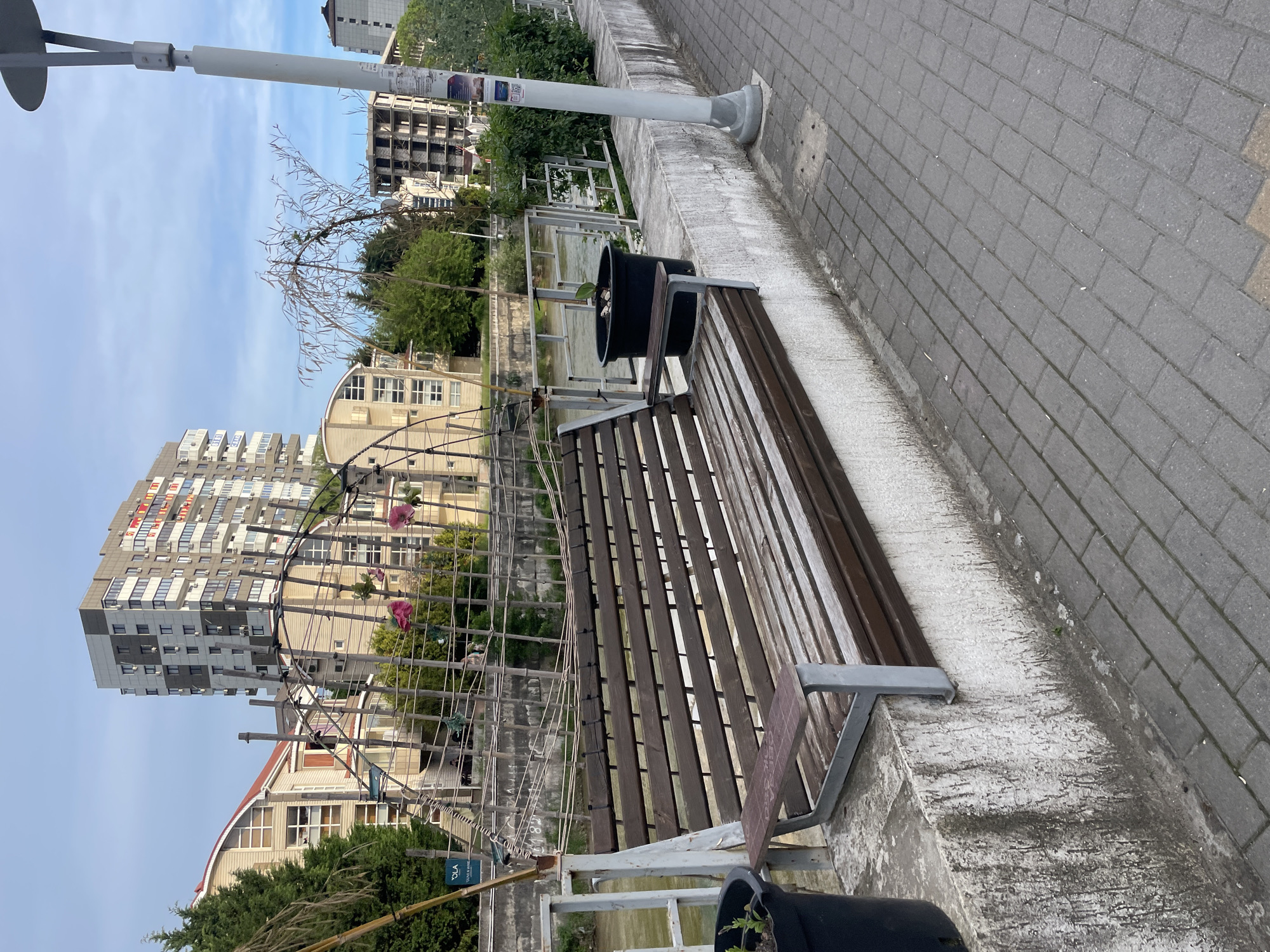 The image depicts a scene in Olginka, Russia, featuring a wooden bench situated on a concrete ledge bordering a paved pathway. A black planter sits on each end of the bench. A white street light stands upright near the bench. Behind the bench and a low railing, there's an architectural structure intertwined with vegetation, with residential buildings visible in the background. The sky above is partly cloudy. The angle of the photo suggests it was taken from a slightly elevated position.