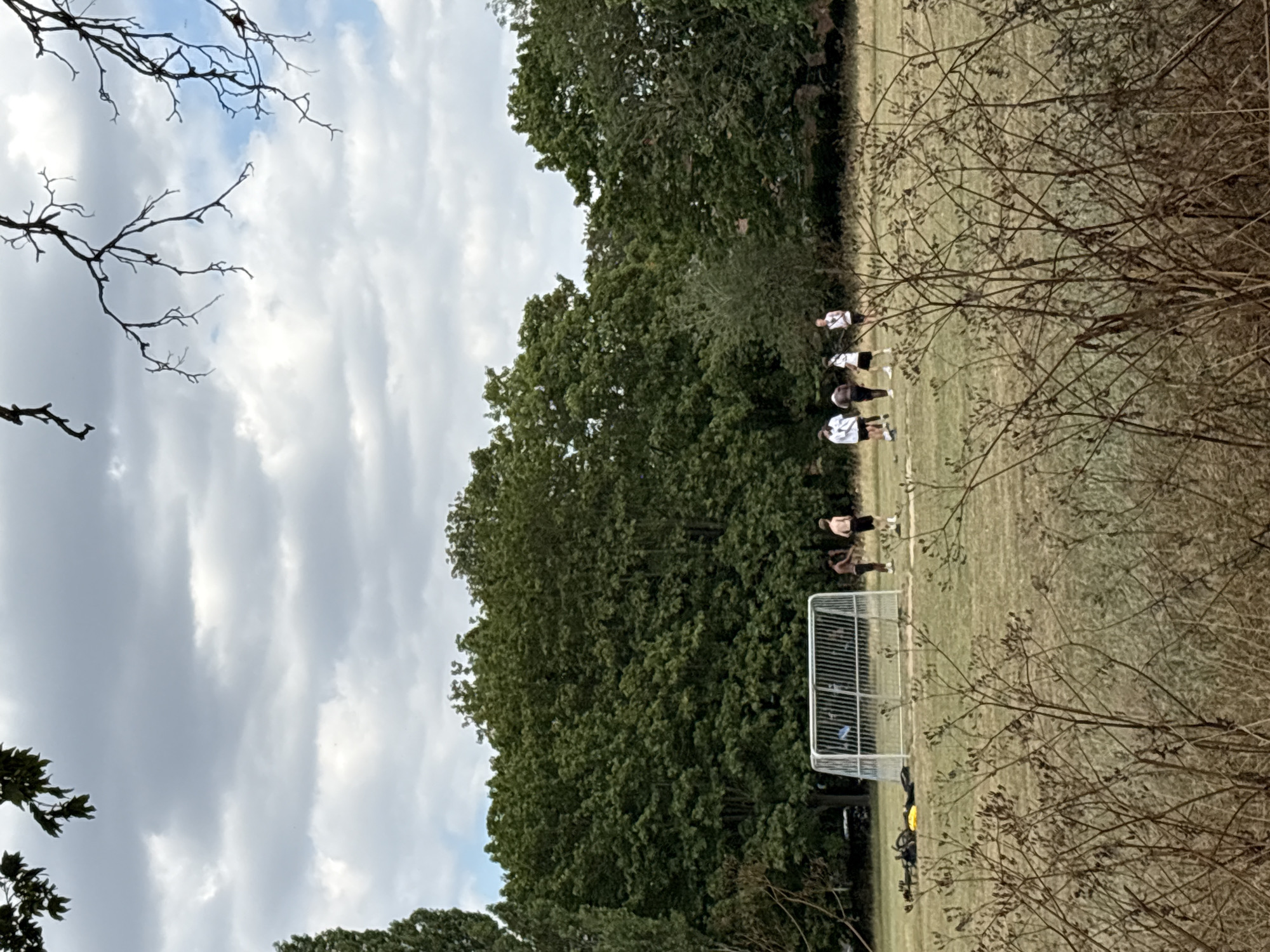 The image depicts a group of people on a grassy field, likely a sports ground, with a soccer goal visible. The subjects appear to be a mix of adults and possibly teenagers, some wearing athletic attire. They are standing in a line, facing towards the left side of the frame. One person is wearing a white top and black shorts, while others are in darker clothing. The activity seems to be a pause in a game or practice, possibly a huddle or waiting for instructions.
The scene is set outdoors, with lush green trees forming a backdrop on the left. The ground is covered in dry grass, suggesting a late spring or summer day, or perhaps a dry autumn. The sky is overcast with diffused clouds, indicating a moderate amount of light and potentially a cool day. Leafless branches of a tree in the foreground on the right side of the image suggest the season might be early spring or late autumn. The overall impression is one of a casual sporting event or training session. No visible text is present in the image.