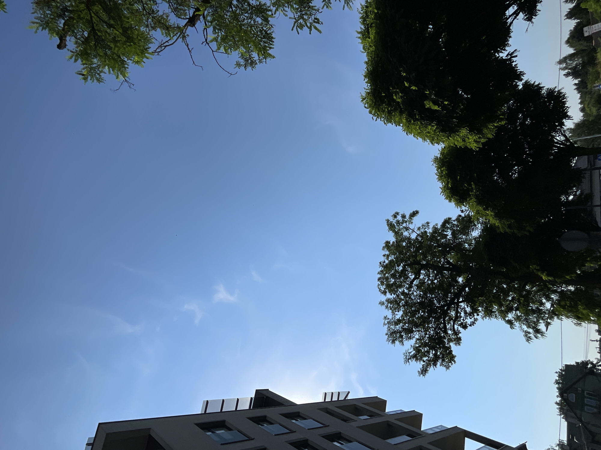 An eye-level, outdoor, medium shot captures a bright, sunny day in an urban environment, with the sky dominating the frame. On the left, a modern, gray apartment building with multiple floors and windows is visible, angled towards the sky. To the right and center, large, dark green trees with dense foliage fill the lower half of the image, silhouetted against the light. The sky is a clear, vibrant blue with faint wisps of white clouds. In the distance, a line of trees and some rooftops of what appear to be houses are visible at the bottom of the frame, suggesting a suburban or mixed urban-rural setting. The overall impression is one of a peaceful, clear day in a city or town.