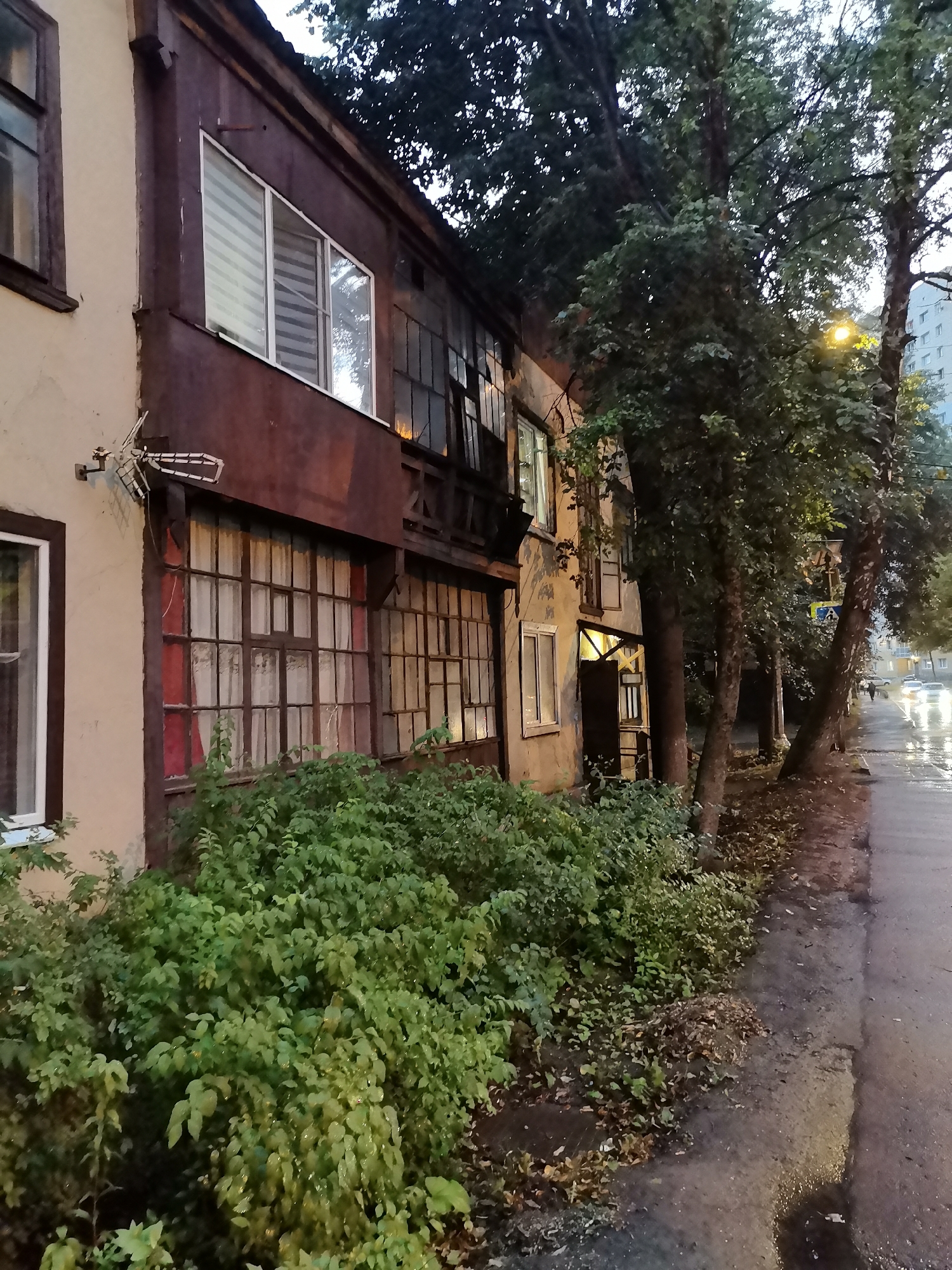The image depicts a wet street in Krasnogorsk, Russia, at dusk. A narrow, weathered building with a dark, possibly wooden facade runs along the left side of the frame, featuring a series of large, multi-paned windows, some covered with striped blinds. A wooden balcony or overhang is visible above some of these windows. Lush green bushes and scattered fallen leaves line the front of the building and the edge of the sidewalk. To the right, several mature trees with dense foliage stand along the sidewalk. Beyond the trees, the street continues, appearing wet and reflecting the light of a streetlamp and car headlights. In the background, a modern, multi-story apartment building is visible, along with distant cars and a street sign. The overall impression is of a residential street in a city, transitioning from day to night, with evidence of recent rain.