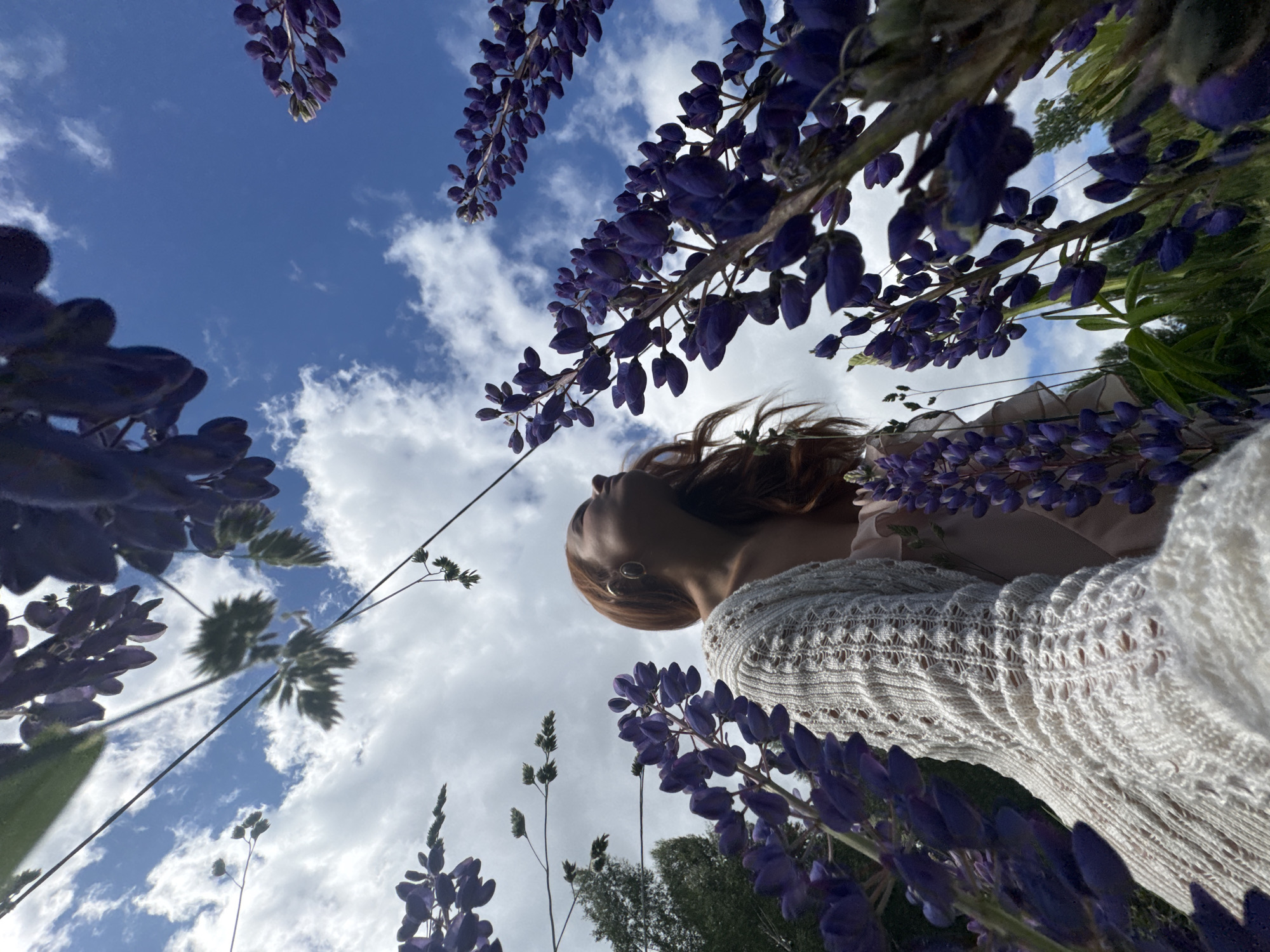 An extreme low-angle, medium shot captures a young woman with reddish-brown hair standing outdoors amidst a field of purple lupine flowers. She is looking upwards and to her right, with her face partially obscured by the flowers and her hair. She is wearing a cream-colored, open-knit cardigan over a light-colored dress. The background consists of a bright blue sky with scattered white clouds and the tops of green trees. The image was taken in the city of Chaikovsky, Russia, on a sunny day.