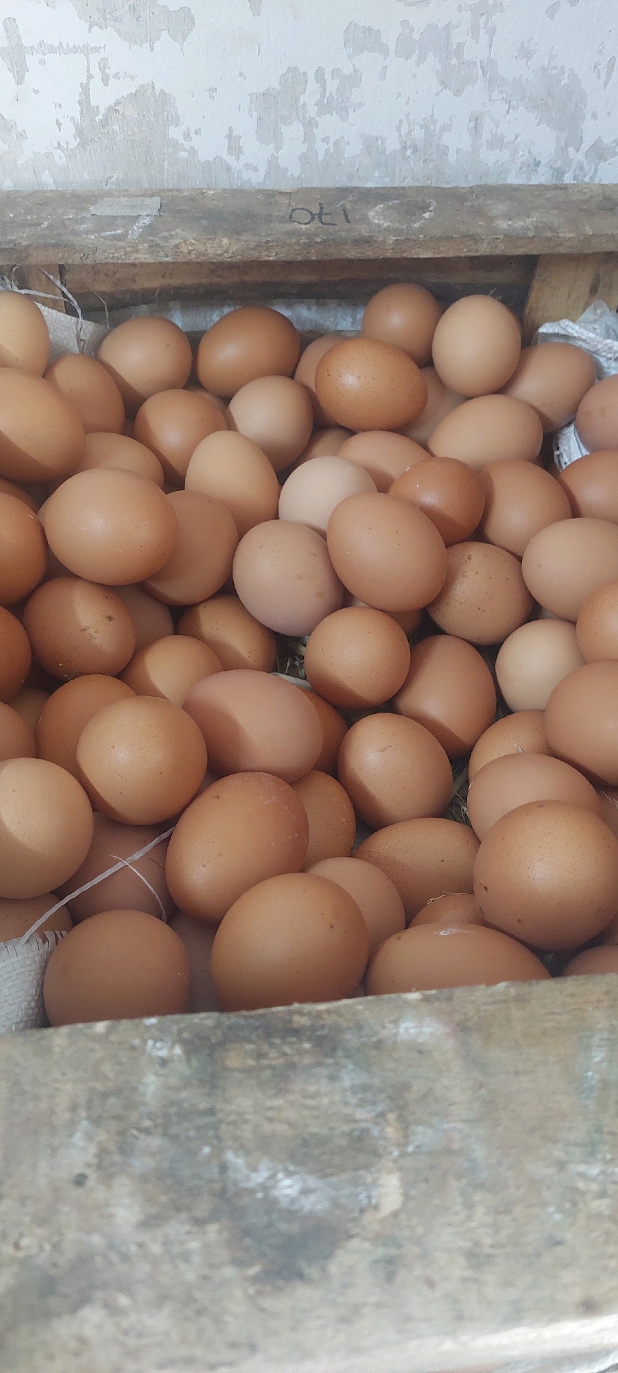 A close-up, eye-level shot shows a pile of brown chicken eggs inside a wooden crate. The eggs are light brown to medium brown in color and are closely packed together. Some of the eggs have small brown speckles on their shells. The crate is made of rough, unfinished wood and appears to be somewhat weathered. In the background, a light-colored wall with peeling paint is visible. The overall impression is of a rustic storage setting, possibly in a farm or market environment. The scene is indoors, with the lighting suggesting overhead illumination. The wooden structure holding the eggs is positioned at the bottom of the frame, with a rough, grey, cement-like surface in the immediate foreground. There is a white string visible to the left, wrapped around some of the eggs. The wall in the background has patches of white and grey, with visible texture from the paint and underlying material.