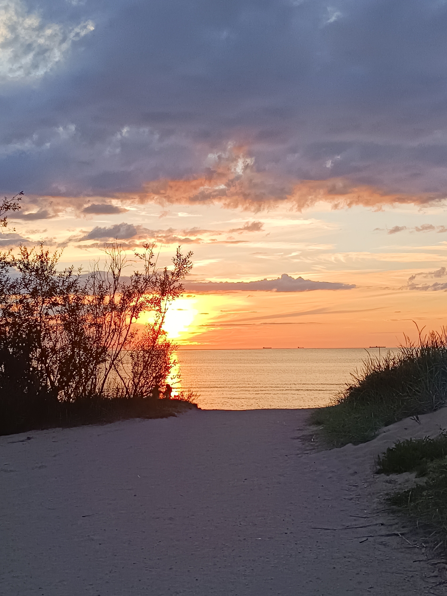 An outdoor, eye-level, full shot captures a picturesque beach scene at sunset in an unknown city. The sandy path leading to the ocean dominates the foreground, flanked by dry, overgrown beach grass on the right and silhouetted shrubbery on the left. The setting sun, a bright yellow orb, shines through the branches of the shrubbery, casting a warm, orange glow across the sky and water. The ocean is calm and reflects the vibrant colors of the sunset. Several ships are visible on the horizon. The sky is a canvas of blues, grays, and oranges, with scattered clouds adding depth and texture to the scene.