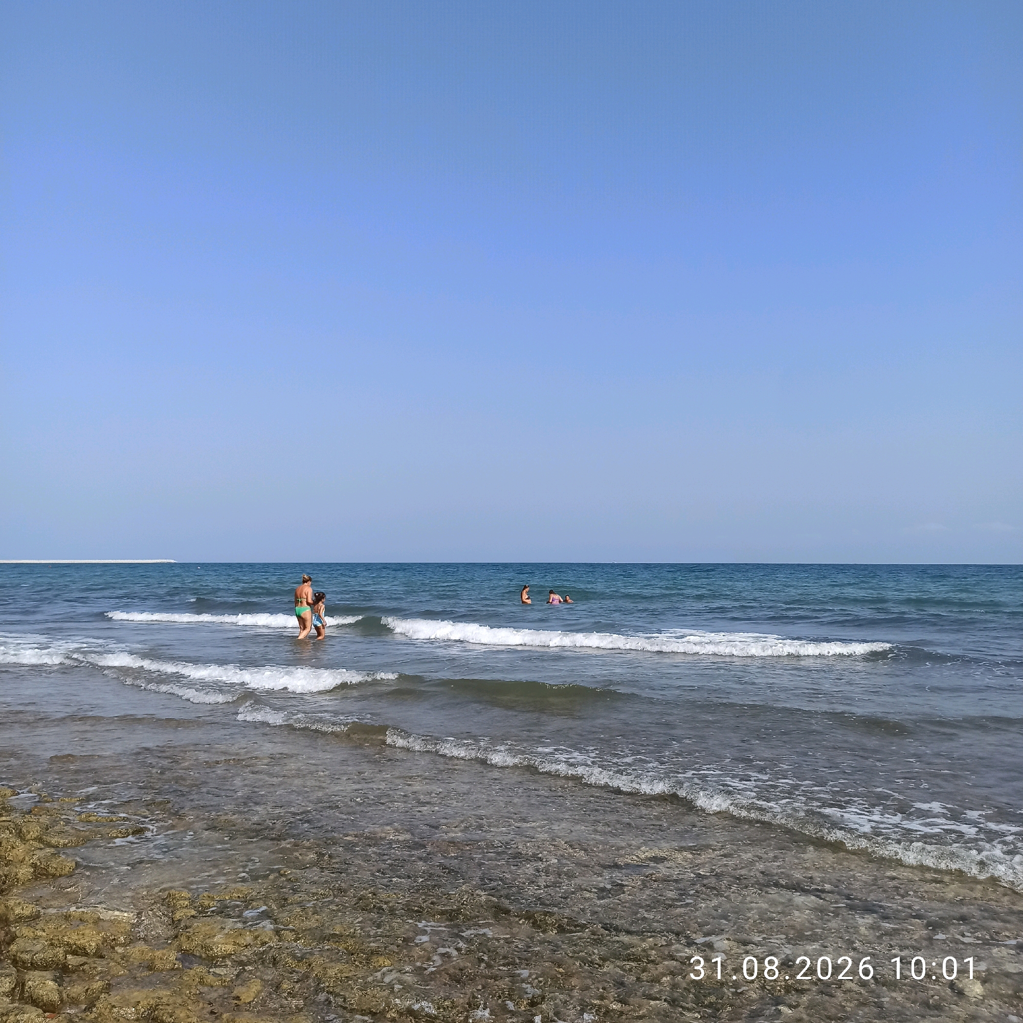 This image depicts a serene beach scene with a clear blue sky and calm ocean waters. In the foreground, the water is shallow and clear, revealing a rocky seabed. Gentle waves are breaking on the shore. In the middle ground, several individuals are enjoying the water. Two people, a woman and a child, are standing in the shallow water on the left side of the frame. Further out in the water, three more individuals are swimming or wading. In the distance, the ocean stretches to the horizon, with a thin strip of land visible on the far left. The timestamp "31.08.2026 10:01" is visible in the lower right corner of the image. The overall impression is one of a peaceful summer day at the beach. The location is the coast of Molfetta, Italy.
