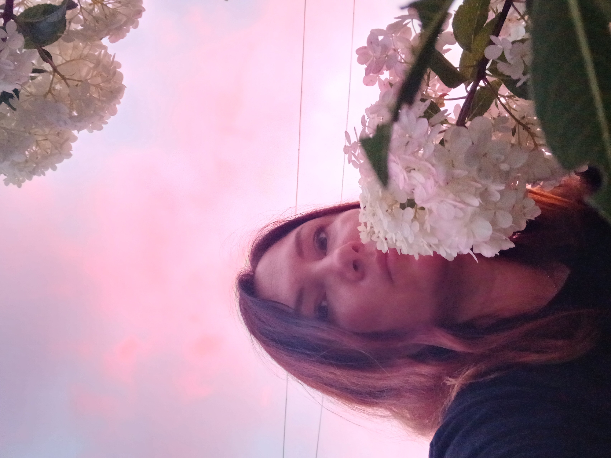 A low-angle, close-up shot shows a woman from the chest up, holding a cluster of white hydrangeas to her face. The woman has long, wavy brown hair and is wearing a dark shirt. She is looking towards the camera with a neutral expression. The background is a hazy, pink-purple sky, likely during sunset or sunrise. Two thin, dark wires are visible horizontally across the sky. The hydrangeas are in focus in the foreground, partially obscuring the woman's face and chest. The image was taken in the city of Bolshiye Usy, Russia.