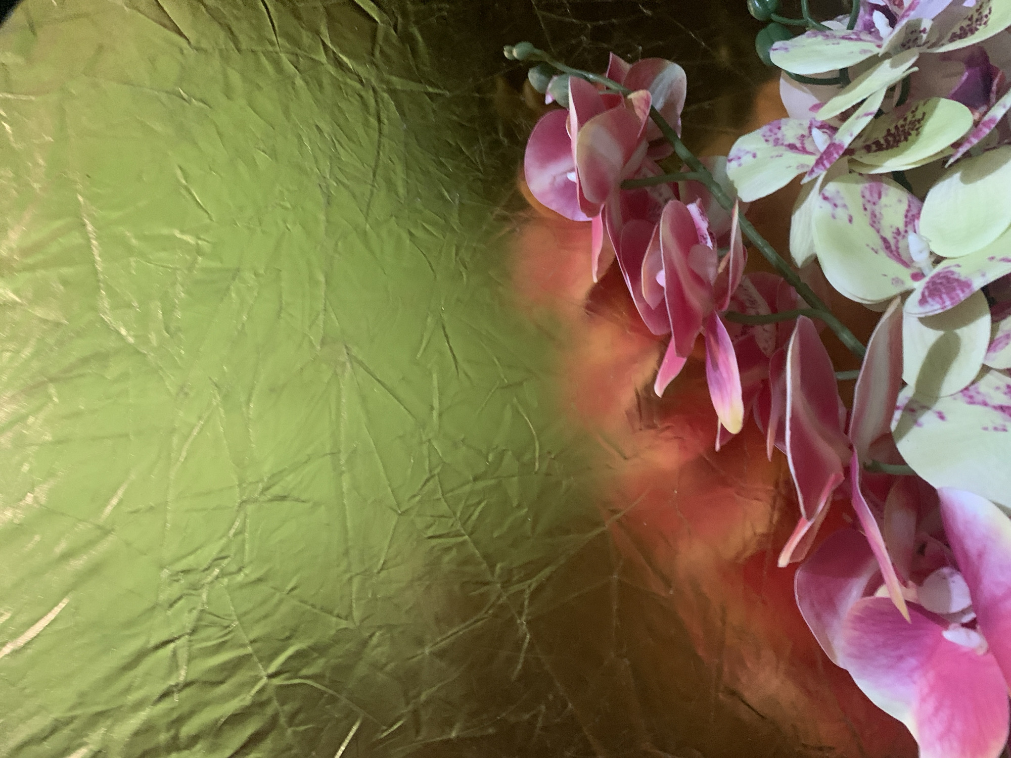 A close-up, vertical, full-frame shot shows a collection of artificial orchids against a wrinkled, metallic, golden-green backdrop. The orchids, primarily in shades of pink and yellow with purple speckles, are arranged in the lower right and lower left portions of the image. The backdrop, which occupies the majority of the frame, exhibits a textured, crinkled surface with light reflecting off its uneven planes, creating a gradient of color from bright green at the top to a deeper, more reddish-gold tone towards the bottom. No people or animals are visible. The scene appears to be a still life arrangement, potentially for decorative purposes. The location in Kuala Pembuang, Indonesia, is not visually discernible from the image content.