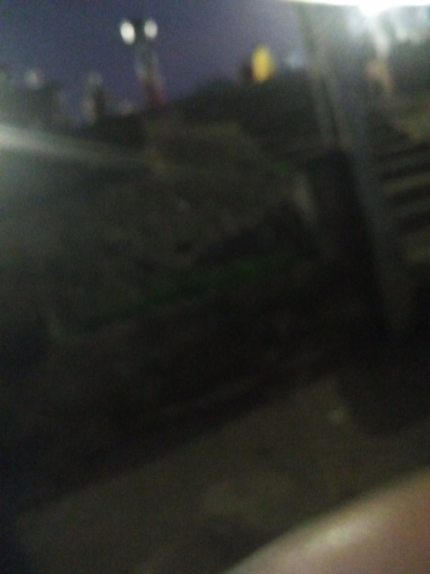 The image shows a dark, blurry outdoor scene at night. In the background, there are indistinct shapes that appear to be structures and lights, possibly part of a fairground or city landscape. The foreground is obscured, but shows hints of greenery and possibly steps or pathways. It is impossible to identify the exact location in Gwong, Nigeria, or any specific people, objects, actions, or interactions due to the poor image quality.