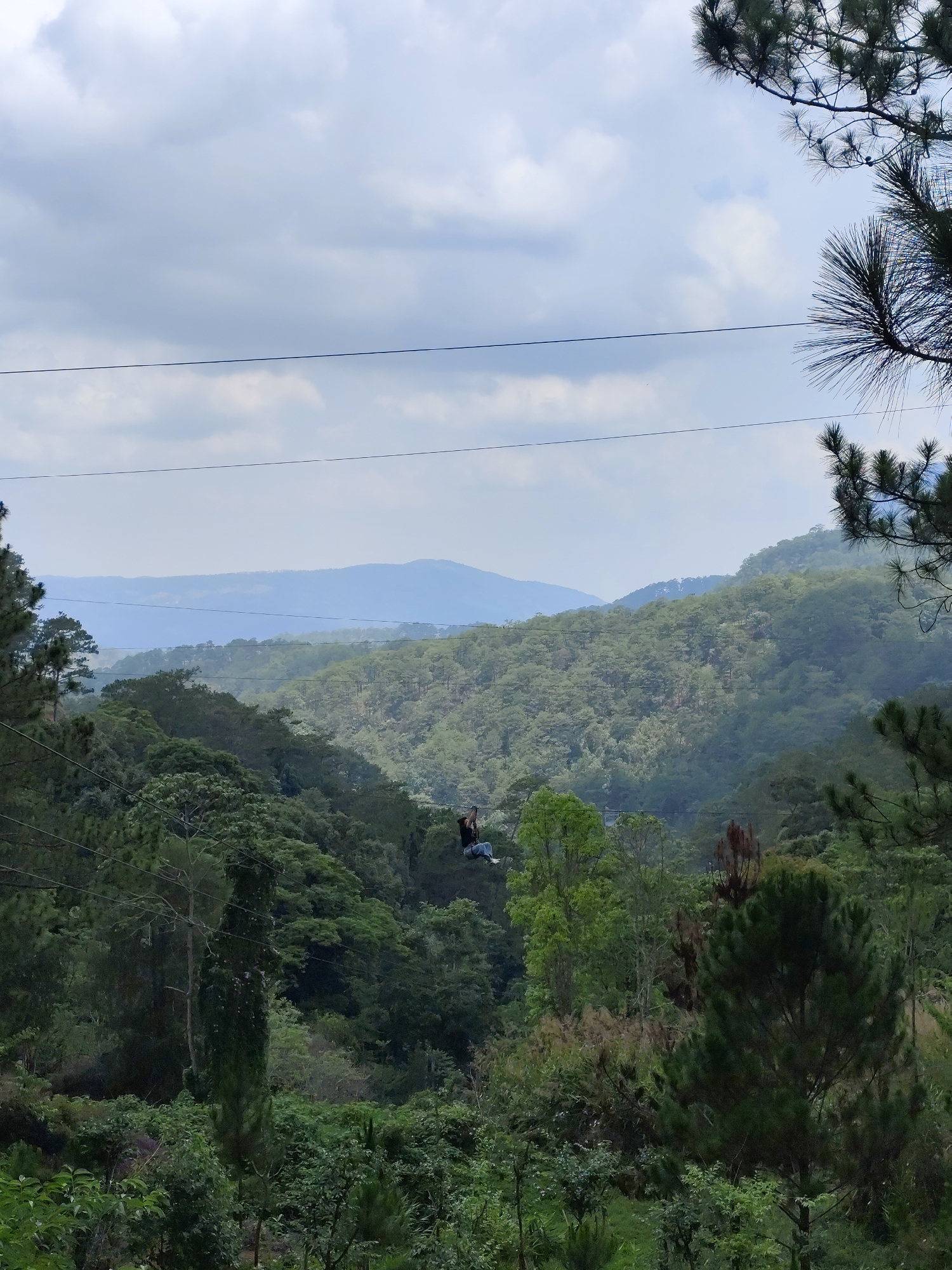 The image captures a zipline adventure in a lush, mountainous environment, likely in the vicinity of Da Lat, Vietnam. A single individual is suspended on the zipline, appearing to be mid-ride, their body positioned horizontally against the backdrop of dense forest. The landscape features layers of verdant hills and trees, with a slightly hazy mountainous ridge visible in the distance. Power lines bisect the upper portion of the image, drawing a contrast between the natural landscape and human infrastructure. The sky is overcast, contributing to a soft, diffused light across the scene. In the foreground, various trees and vegetation frame the shot, adding depth and perspective.
