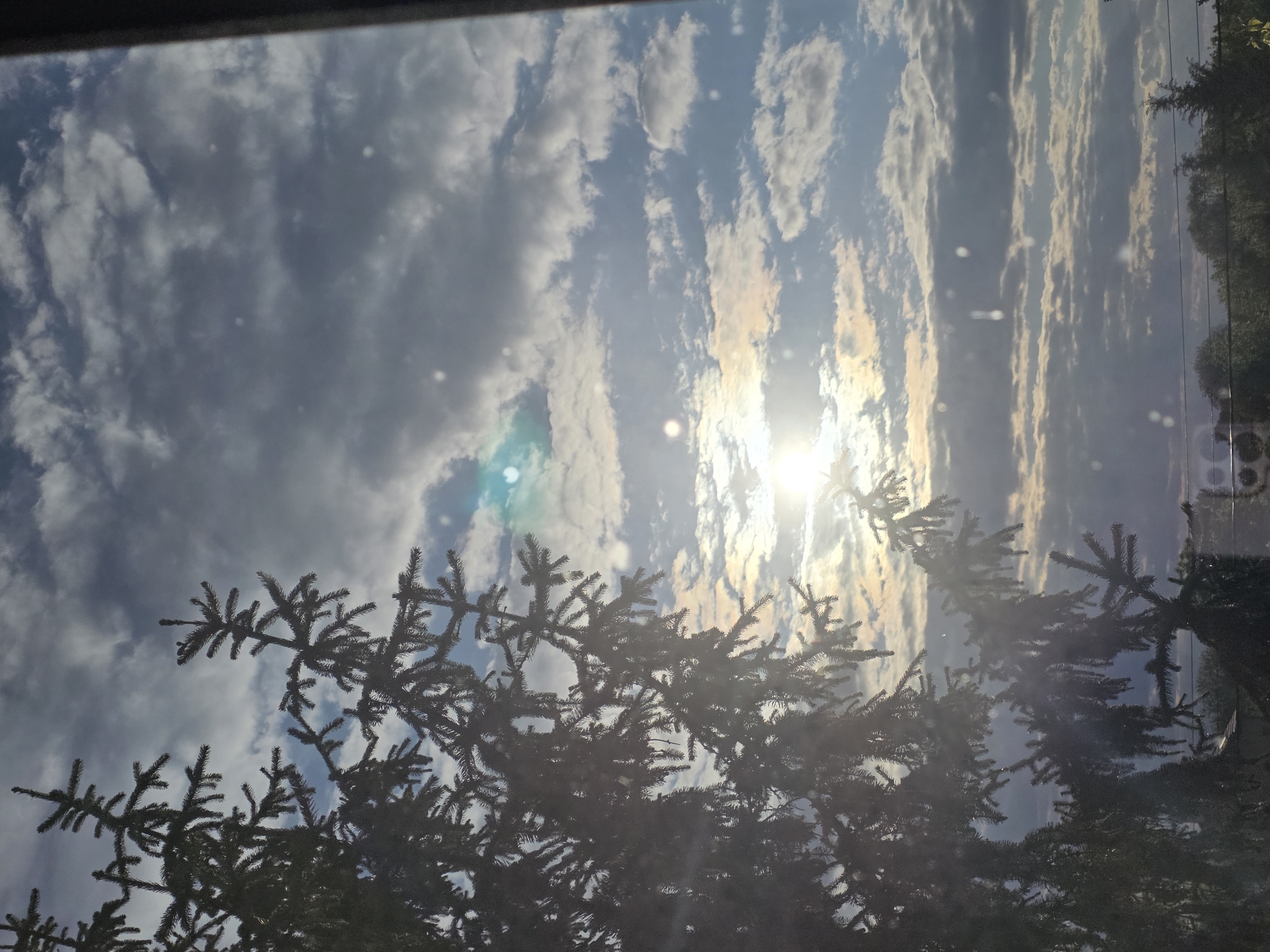 The image shows a view of the sky partially obscured by the silhouette of a coniferous tree. The sky is filled with various types of clouds, some dark and dense, others thin and streaky. The sun is visible through the clouds, creating a bright glare. The location is Yagodovo, Bulgaria. No people, actions, or interactions are visible.