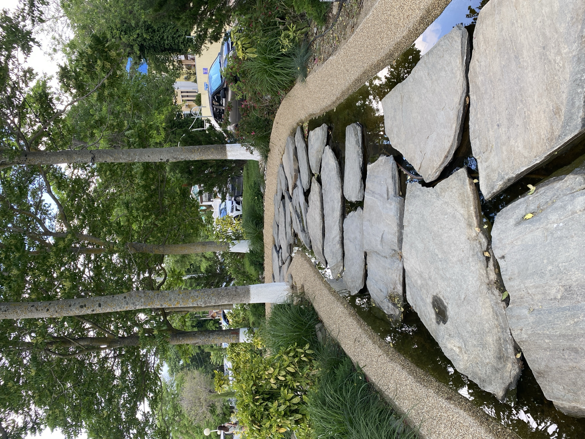 This image depicts a Zen garden with a stepping stone path winding through a shallow water feature. The stones are large, flat, and irregularly shaped, creating a naturalistic aesthetic. The water is clear, reflecting the surrounding greenery and trees. Lush green grass and shrubs flank the path, with some trees in the background. The trees have white painted bases, a common practice to protect them from pests and disease. In the distance, cars are visible, suggesting an urban or semi-urban setting. The overall impression is one of tranquility and natural beauty, characteristic of a well-maintained garden. The location is identified as Novorossiysk, Russia.