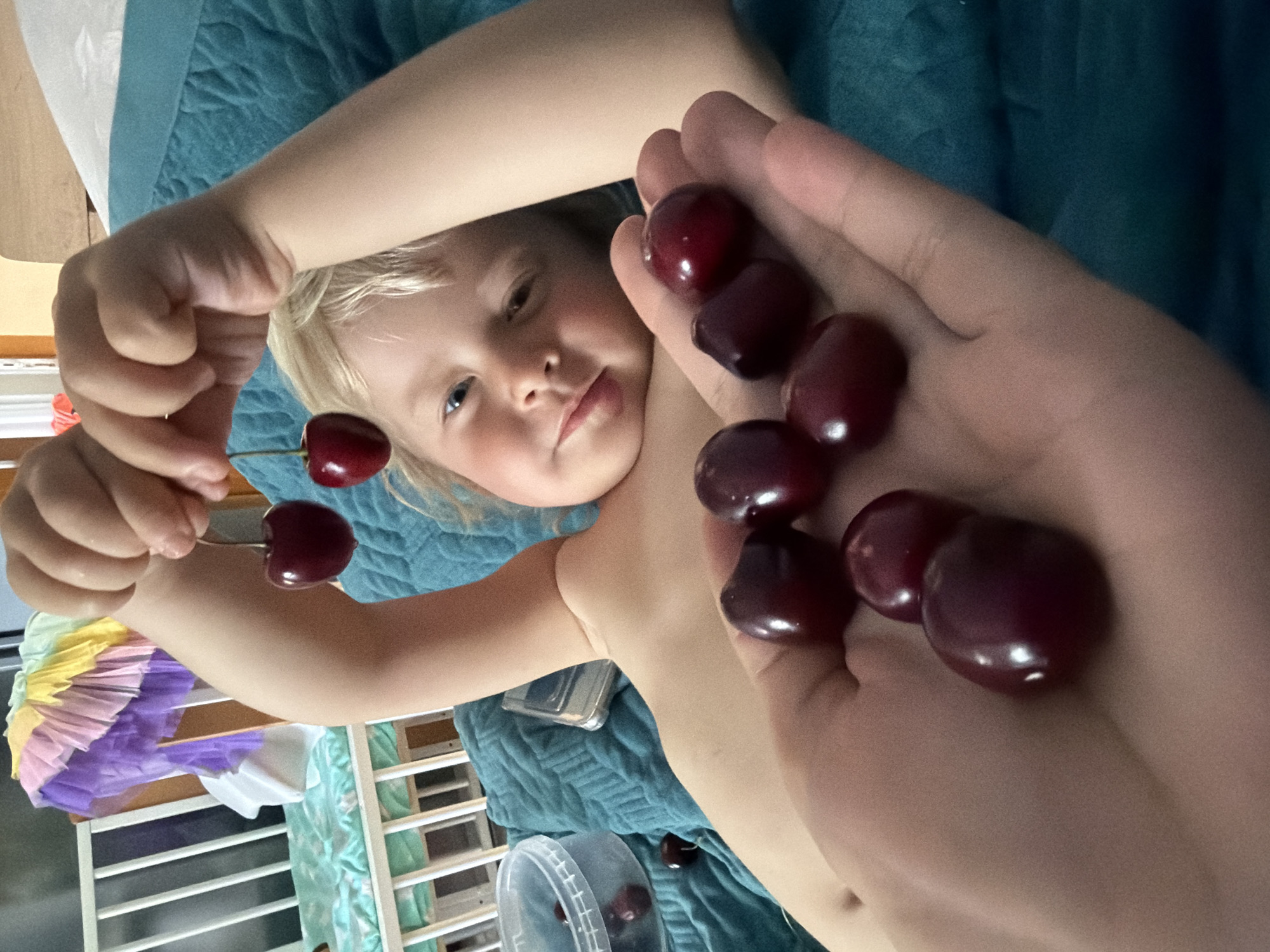 In this close-up, overhead shot taken in Sochi, Russia, a young child with blonde hair lies on a turquoise, quilted surface, possibly a bed or blanket. The child's arms are raised above their head, and their face is tilted upwards, looking directly at the camera with a curious expression. The child is holding several ripe cherries, some in their left hand and one on a stem in their left hand. The right hand is visible in the foreground, cupped and holding a collection of cherries. The lighting suggests it is daytime, and the indoor setting appears to be a child's room or play area, with a glimpse of a white crib or bed frame and colorful tissue paper decorations in the background. A clear plastic container with more cherries is partially visible at the bottom of the frame. The overall impression is a playful and intimate moment between the child and the viewer.