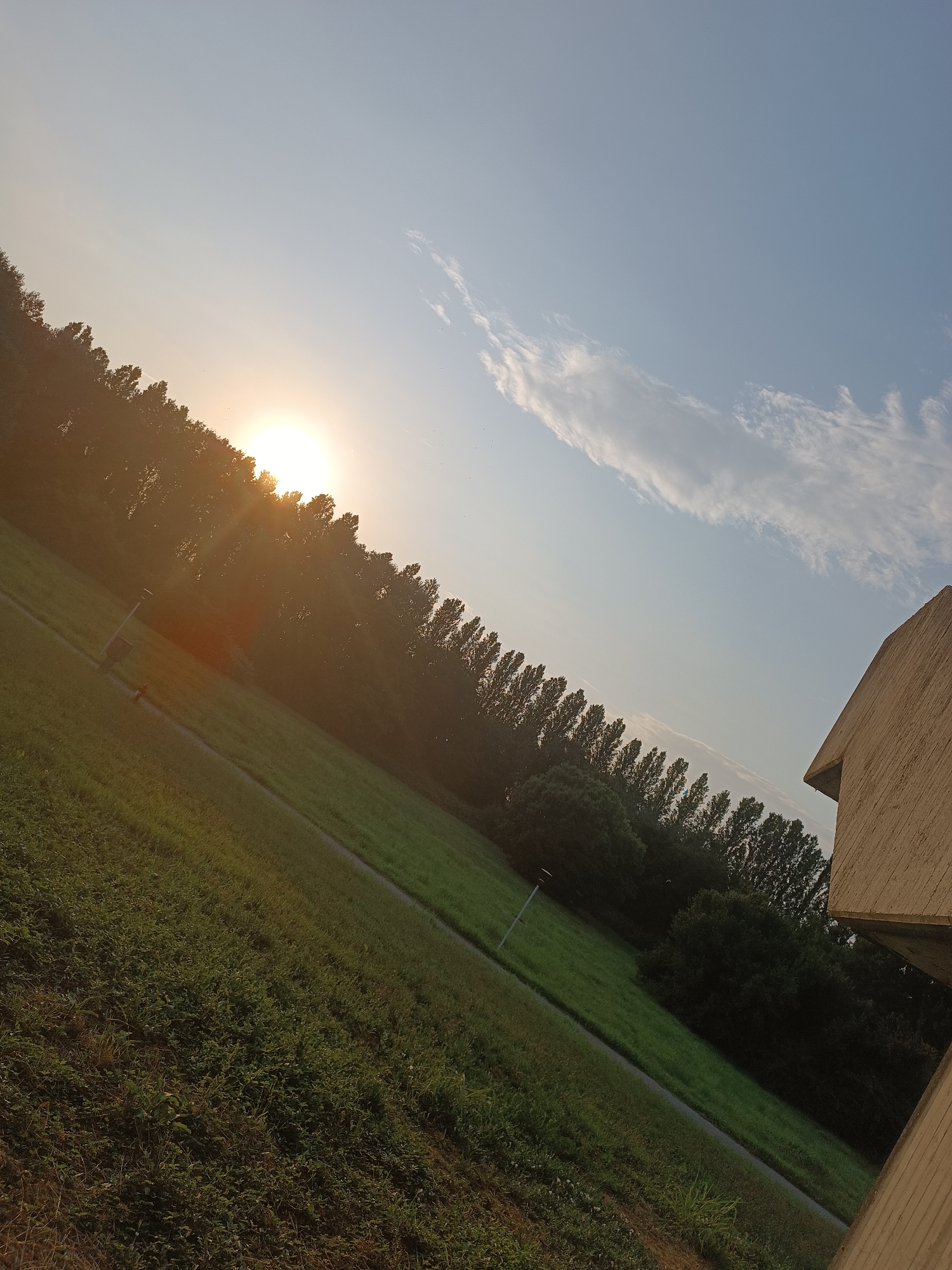 The image captures a diagonal view of a grassy area with a line of trees in the background, bathed in the warm light of the setting sun. The sun is partially obscured by the trees, casting long rays of light across the scene. A pathway runs diagonally through the grass. To the right, a portion of a concrete structure is visible, possibly part of a building or an outdoor seating area. The sky is clear blue with a few wispy clouds. The location is identified as being in Casalmaggiore, Italy. There are no people or animals clearly visible in the frame. The overall impression is one of a serene outdoor setting at dusk.