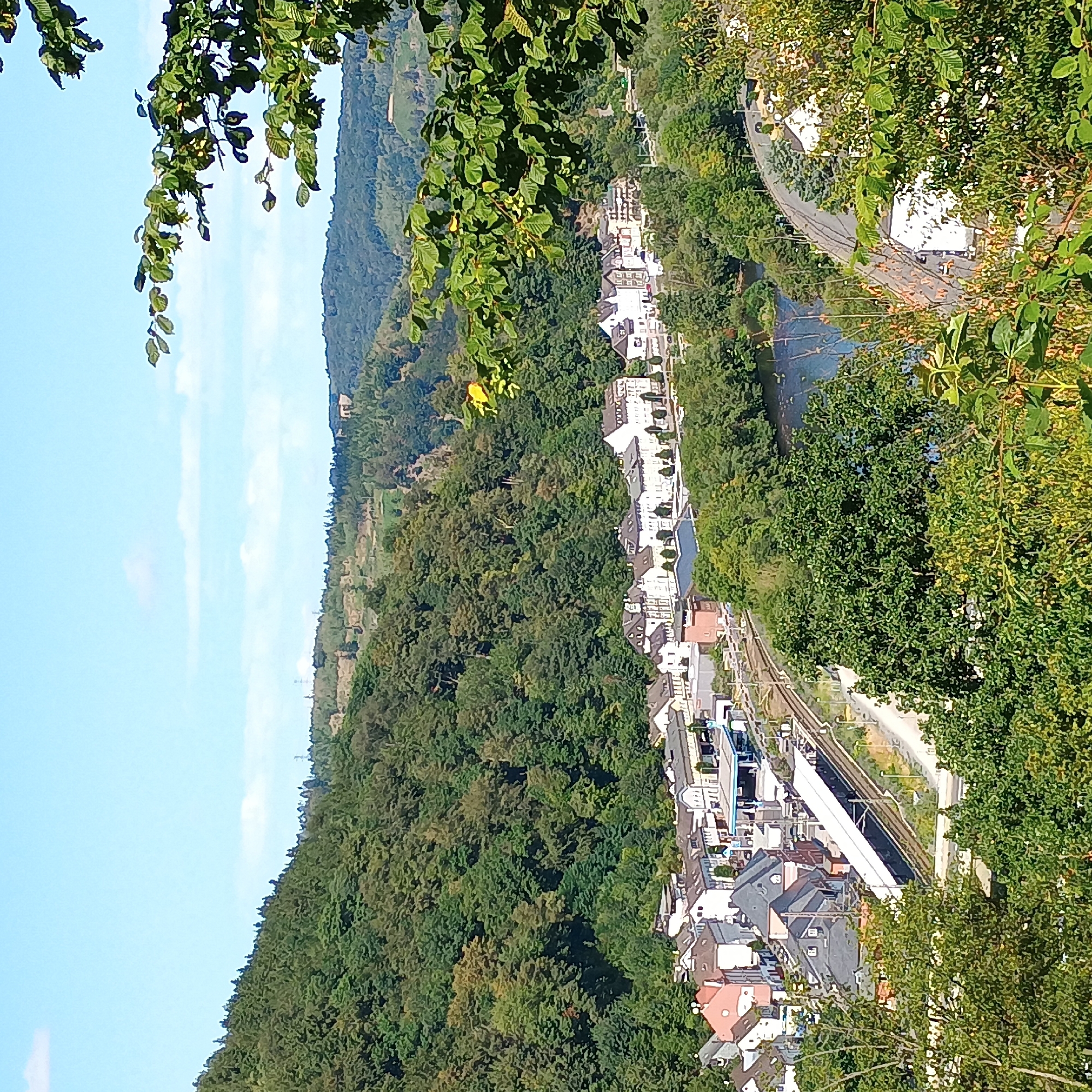 The image shows a panoramic view of the Lenne river valley in Altena, Germany. In the foreground, a dense forest covers the hillsides, with some trees framing the scene from the right. Below, a small town is nestled along the river. The town features a train station with tracks and platforms, adjacent to several buildings, including a gas station with blue awnings. Further into the town, a row of houses and businesses with light-colored facades lines a street. The Lenne river winds through the valley, reflecting the blue sky and scattered clouds. In the background, rolling, tree-covered hills rise up, with a few structures visible on the distant slopes. The overall scene depicts a tranquil, semi-urban landscape integrated with natural surroundings under a bright, sunny sky.