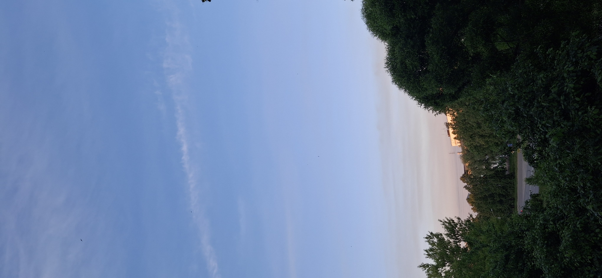 The image displays a tranquil outdoor scene, dominated by a vast sky and a dense line of trees. The sky, which occupies the left two-thirds of the vertical frame, presents a striking gradient. It transitions from a clear, deep blue at the top and left to a soft, pale orange or pink hue towards the right side, where it meets the horizon. A faint, wispy white cloud or contrail is visible stretching vertically in the blue portion of the sky. Several tiny, dark specks, likely birds, are scattered across the sky, suggesting movement.
The right third of the image is filled with lush, dark green foliage from numerous trees, forming a dense natural barrier. Through small gaps and above the canopy on the far right, glimpses of a road or street are visible, along with some distant buildings or structures that softly reflect the warm, pastel light of the horizon. A small red light, possibly from a vehicle or a traffic signal, can be discerned on the road.
The notable details strongly suggest the time of day is either sunrise or sunset, given the distinct color transition in the sky from deep blue to a warm, soft orange/pink. The weather appears clear with minimal cloud cover. There is no visible text in the image. The scene evokes a sense of peace and natural beauty in what appears to be a suburban or semi-urban setting within the Chaikovsky, Russia context.