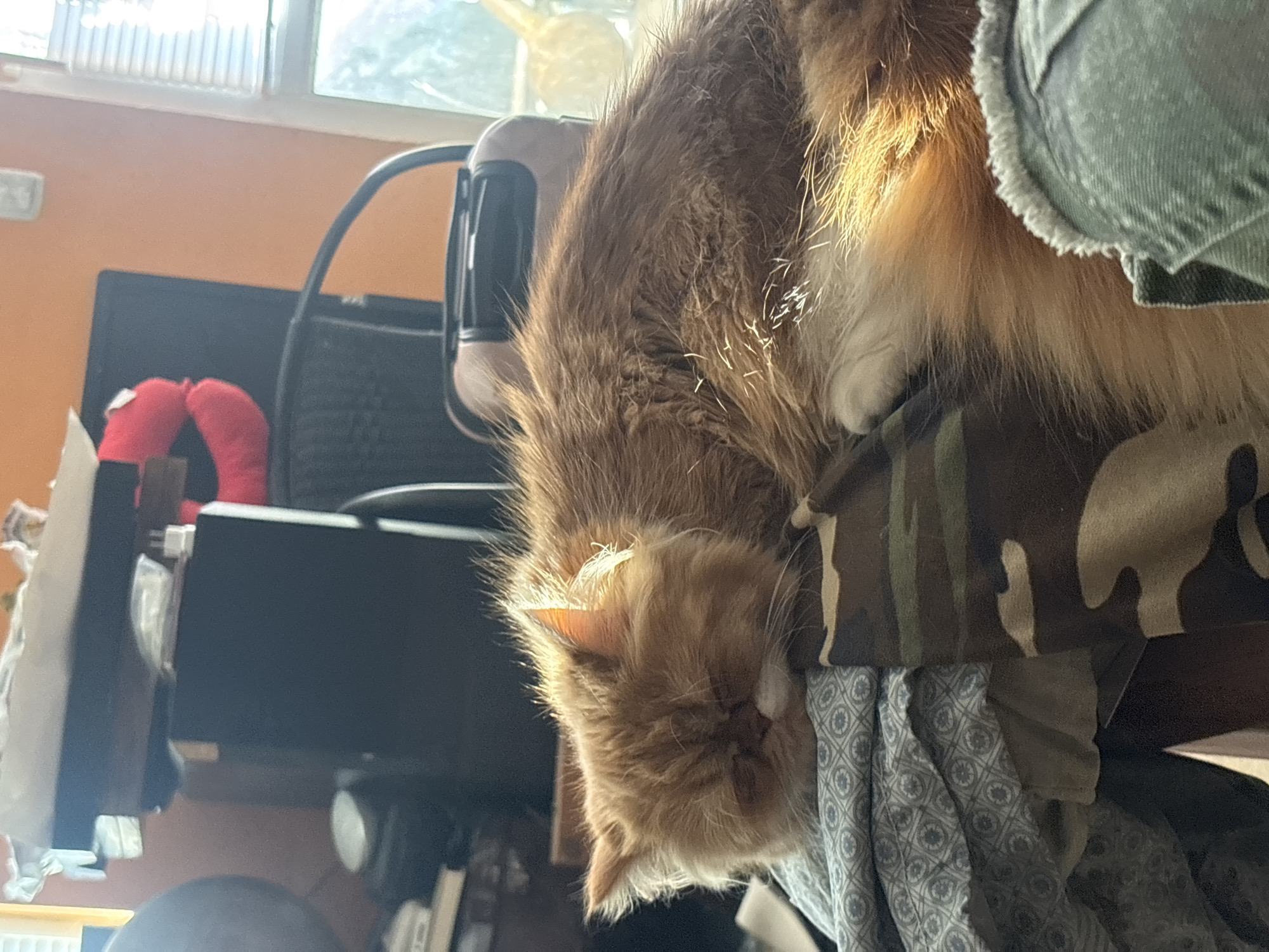 Memory