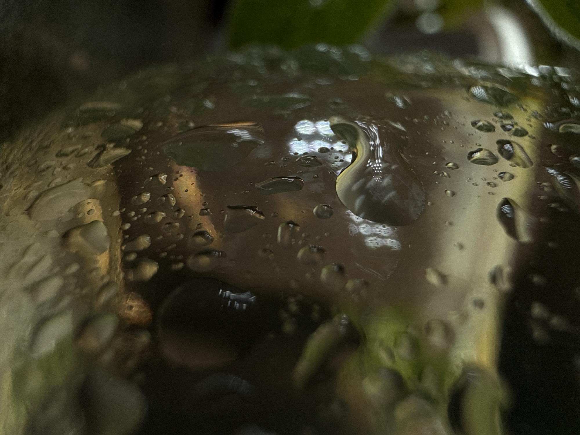 The image is a close-up macro photograph of water droplets on a transparent surface, likely glass. The droplets are of varying sizes and shapes, some appearing as clear spheres and others as distorted oblongs due to the curvature of the surface and the refraction of light. The background is out of focus and displays a warm, muted color palette dominated by browns, greens, and hints of yellow. There are reflections within the water droplets, suggesting light sources or objects in the environment. The overall impression is one of abstract beauty, focusing on the interplay of light, water, and form. There is no discernible location in the city of Chaikovsky, Russia, present in the image.