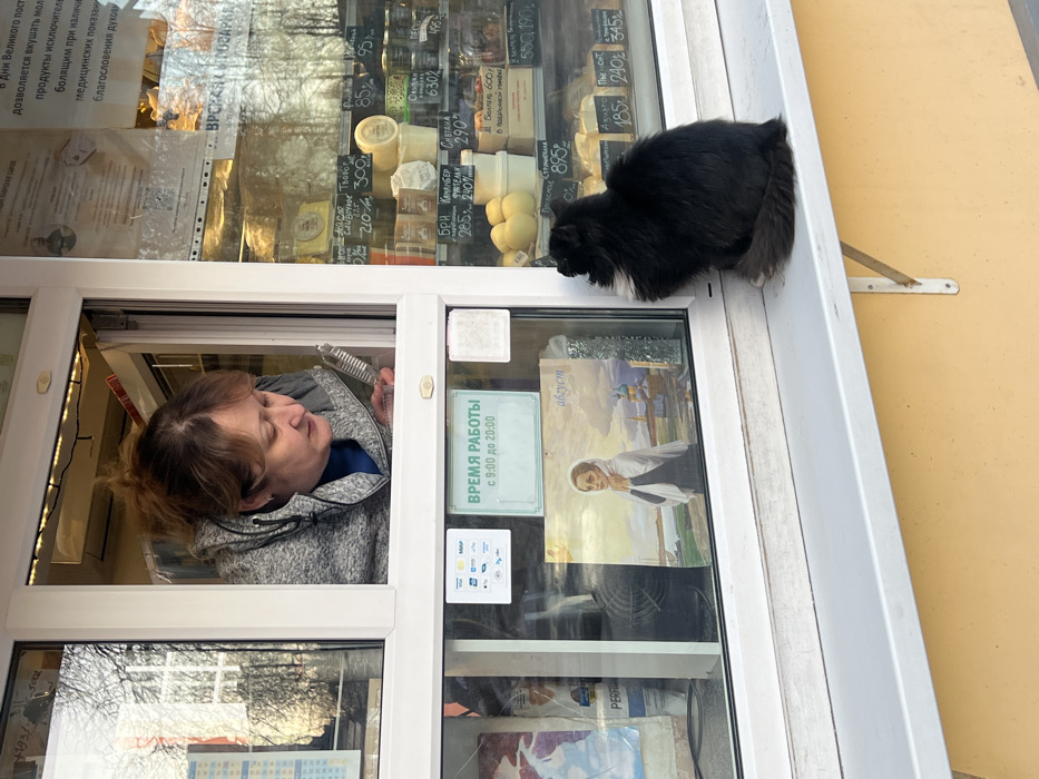 This image depicts an outdoor commercial kiosk or small shop in Saint Petersburg, Russia, under bright, possibly overcast, daylight conditions.
An adult female, appearing middle-aged with light brown hair tied back and wearing a grey hooded jacket over a blue shirt, leans out of an open service window. She looks downwards and to her right, holding a small, reflective silver object, possibly a compact mirror or brush, in her right hand.
Positioned on the white exterior window ledge directly below the service window is a black, medium-haired cat, sitting on its haunches with its tail curled around its front. The cat faces inwards, appearing to look at the woman or into the shop interior.
The shop's interior is visible through adjacent glass panes. The lower left pane displays a framed picture of a woman in a white headscarf with onion-domed churches in the background, labeled "август" (August). Below this, signs indicate "ВРЕМЯ РАБОТЫ с 9:00 до 20:00" (Working hours from 9:00 to 20:00) and accepted payment methods, including Visa, Mastercard, and MIR. The lower right pane showcases various dairy and cheese products in clear containers with handwritten price tags in Russian rubles, featuring items like "Творог" (Curd cheese), "Бри" (Brie), and "Камамбер" (Camembert). The shop's name "ВРСКАЯ ГУСАРКА" (VRSKAYA GUSARKA) is visible on a sign. The upper right pane also displays text in Russian, partially obscured, mentioning "Great Lent" and "milk products." The window reflections show bare trees, indicative of a cold season. The building exterior below the ledge is painted yellow.