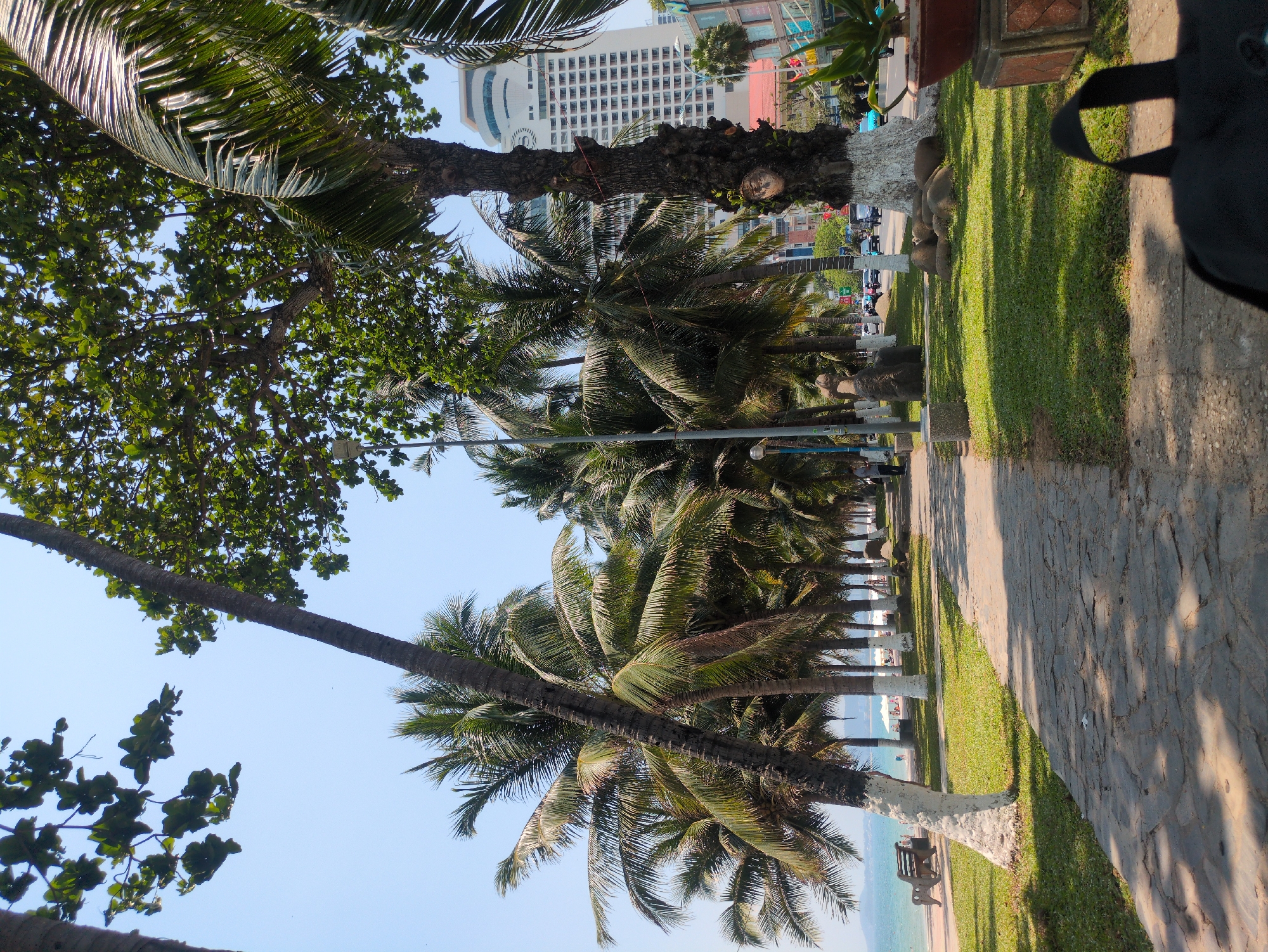 The image shows a view along Tran Phu Street in Nha Trang, Vietnam, characterized by a palm-lined promenade. A sidewalk paved with stone runs along the right side of the image. Grass separates the sidewalk from the beach. A line of palm trees stretches into the distance along the promenade, some trunks are painted white. In the background, a tall building is visible. Some people can be seen in the distance on the beach and promenade. A black bag is visible in the upper right corner of the frame.