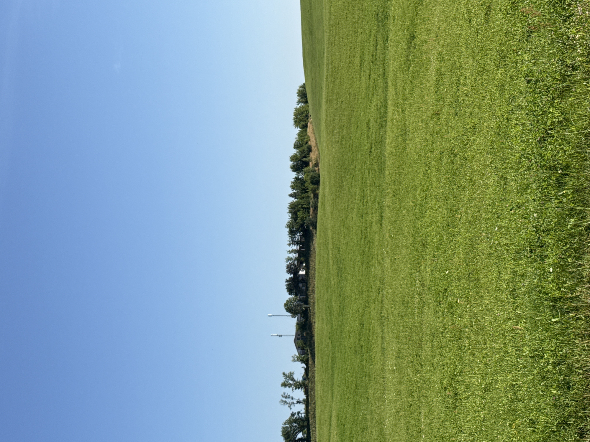 The image shows a vast expanse of vibrant green grass stretching across rolling hills under a clear blue sky. In the distance, a line of trees forms a natural border against the horizon, behind which several buildings and two tall communication towers are visible. The scene is tranquil and rural, evoking a sense of open space and natural beauty. This location is likely in or near Galinė, Lithuania, given the visual characteristics of the landscape.