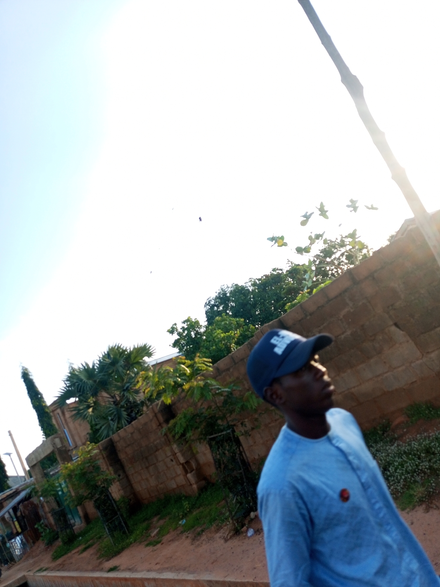 A medium-shot, eye-level, outdoor photograph captures a young Black man wearing a blue baseball cap and a light blue collared shirt. The man is positioned in the lower right quadrant of the frame, looking upwards and to his right. His facial features are discernible. The background consists of a brick wall with vegetation and trees. A bright, overcast sky occupies the upper left portion of the image. Several birds are visible in flight against the sky. The setting appears to be a residential area in Gombe, Nigeria, characterized by the type of architecture and vegetation. The ground is unpaved, with a reddish-brown dirt surface. A tall, thin pole, possibly a utility pole, extends vertically along the right edge of the frame, partially obscured by sunlight.
