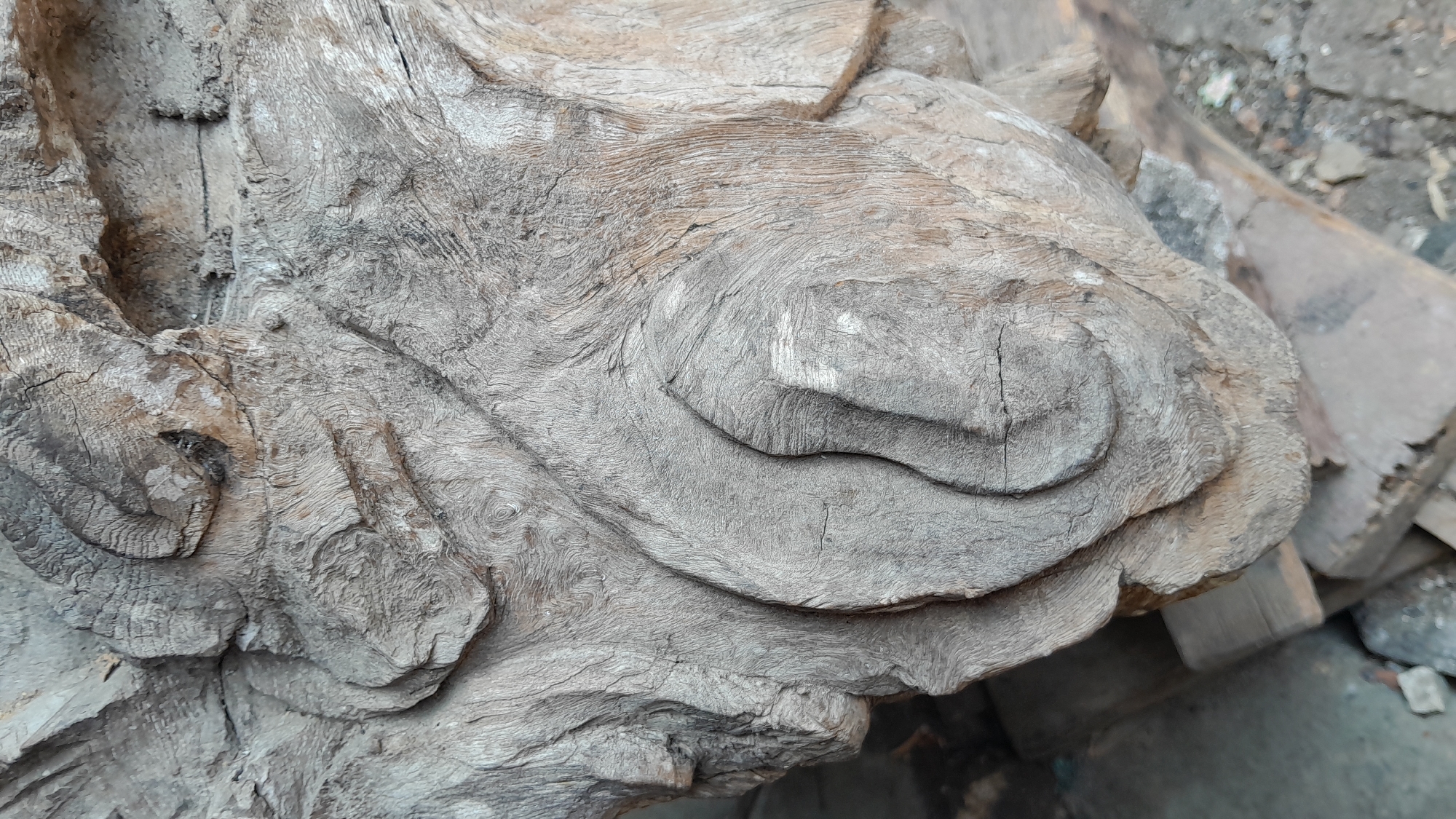 This is a close-up, outdoor, vertical, eye-level shot of a carved wooden sculpture. The sculpture appears to be an abstract representation of a face, with a prominent nose and eye socket carved into the wood. The wood itself is weathered and grey, with visible grain patterns and cracks. The background is blurred, but appears to be an outdoor setting with concrete and other wooden elements. The specific location in Sumberarum, Indonesia is not visually discernable from the image itself, but the subject matter suggests it may be a piece of traditional Indonesian folk art or a decorative element in a public space or private property.