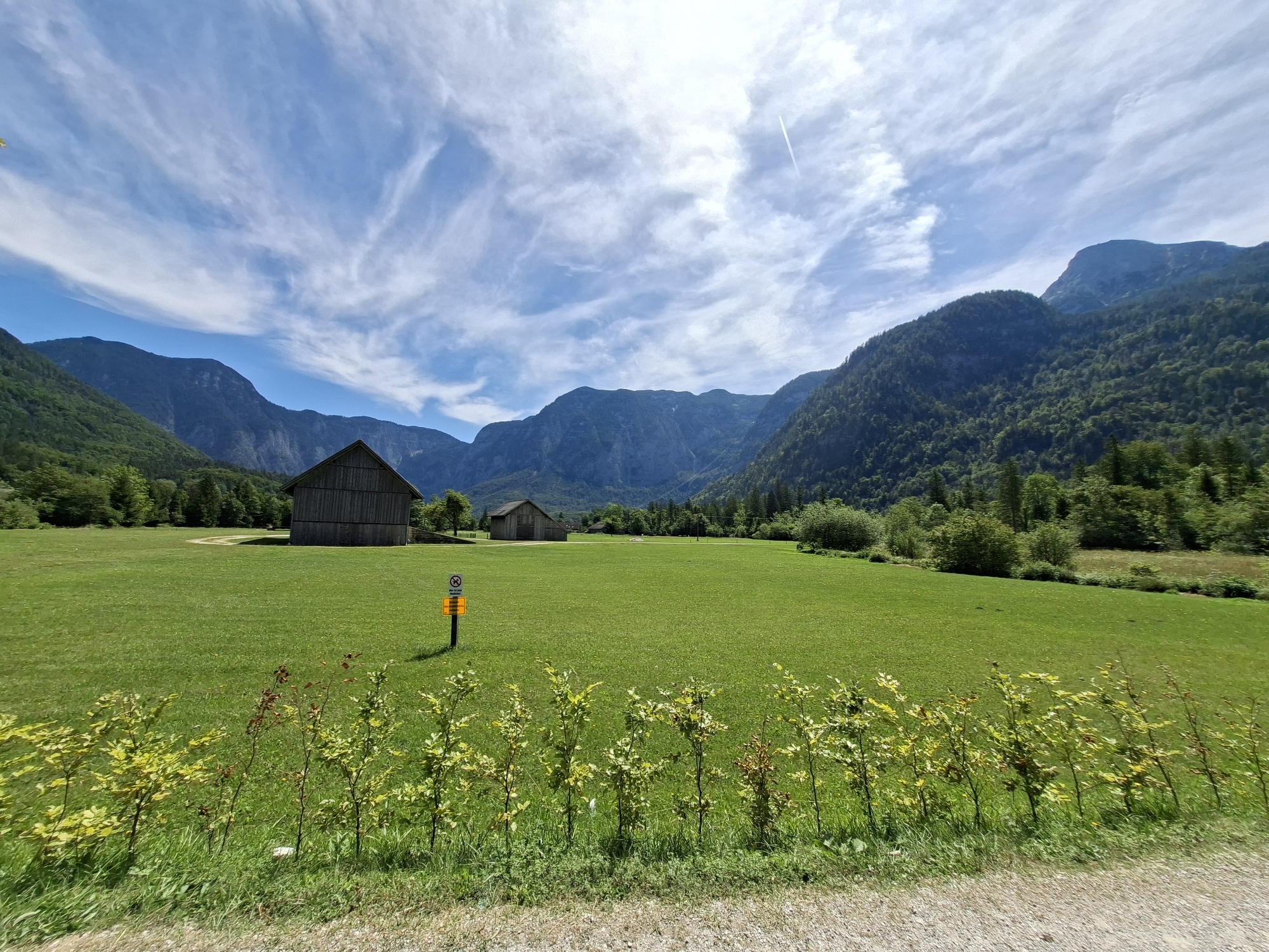 The image depicts a scenic rural landscape, likely in or near Obertraun, Austria, characterized by a vast expanse of vibrant green grassland under a bright blue sky with wispy white clouds. In the middle ground, two rustic wooden barns stand on the field. A small yellow sign with a circular prohibition symbol and text is visible to the left of the barns. The foreground is lined with young, leafy bushes and grass, with a gravel path bordering the lower right edge of the frame. In the background, majestic mountains rise, densely covered with lush green trees, their peaks partially obscured by the expansive sky. The scene suggests a peaceful, natural setting, possibly a farm or a meadow in a mountainous region.