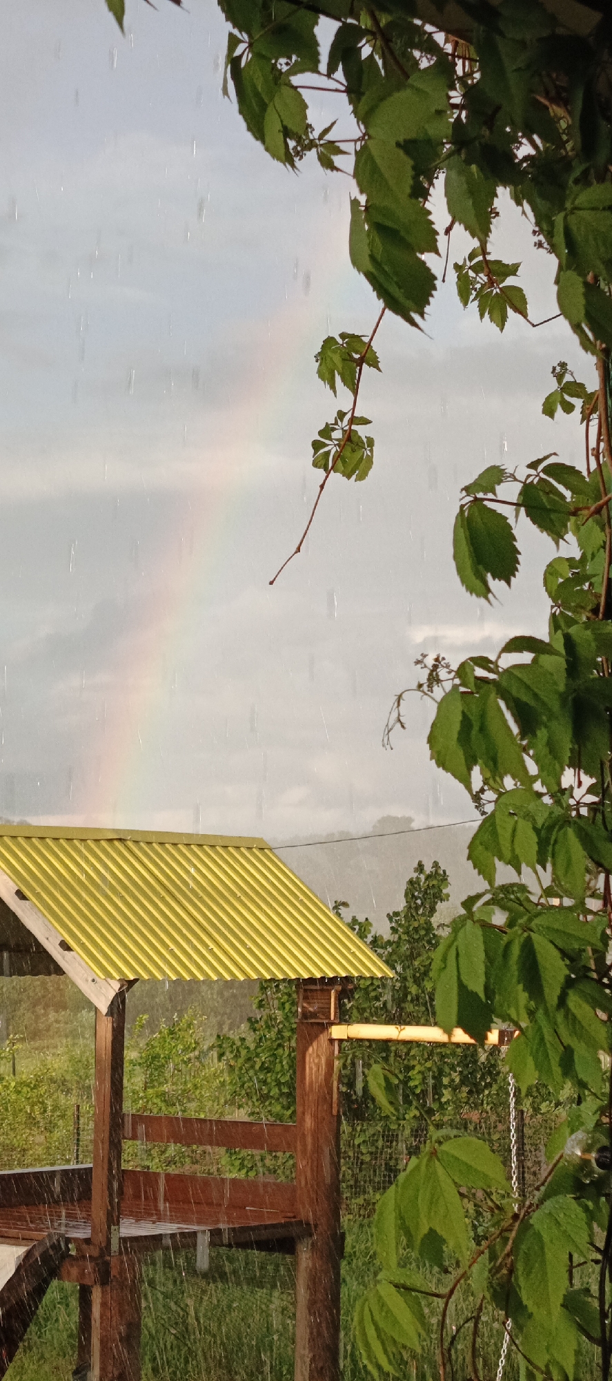 A rainy day scene shows a rainbow partially visible in the cloudy sky above a green corrugated metal roof. Raindrops are visible throughout the frame, obscuring the view of the landscape. A wooden structure with brown posts and railings stands beneath the roof. Green foliage hangs on the right side of the image, further obscuring the view. The location is Большой Букор, Russia.