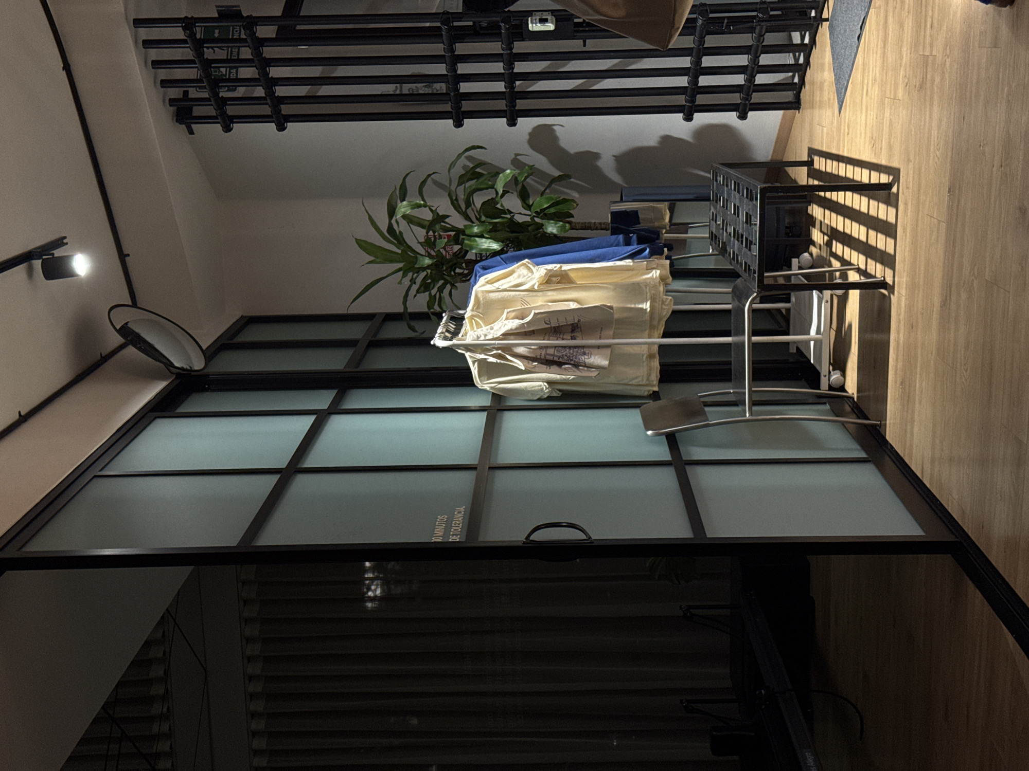 The image depicts an interior space in Puebla, Mexico. A glass and black metal grid structure dominates the foreground. A rack of clothing sits behind the glass structure, and a potted plant is visible. Metal shelves are visible in the background. The floor is made of light-colored wood.