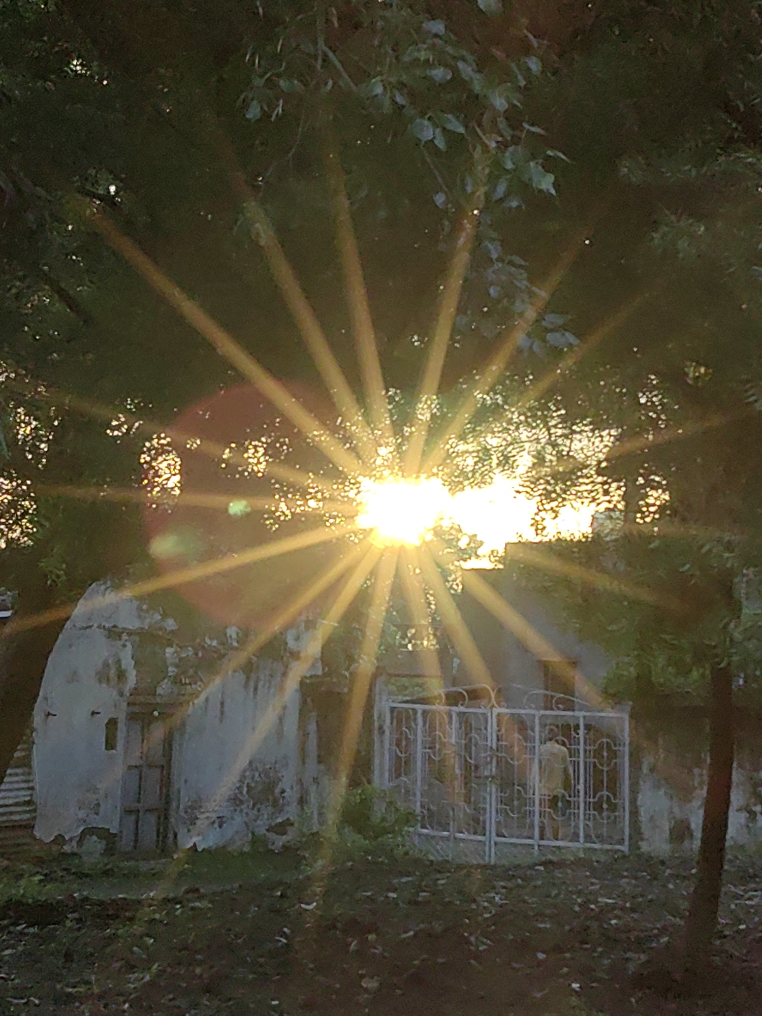 The image captures a sunburst effect, with rays of sunlight emanating from behind dense foliage and illuminating an old, weathered building. The building appears to be made of rough concrete or stucco, with visible signs of age and disrepair, including peeling paint and crumbling sections. There is a wooden door and a small, rectangular window on the left side of the structure. In front of the building, a decorative metal gate encloses a small area. A person, whose back is to the camera, stands just inside the gate, partially obscured by its bars. The ground in front of the building is covered with dark soil and scattered leaves. The scene is set amidst trees, with their leaves creating dappled shadows and further contributing to the sunburst effect. The image was taken in Mhaiswadi, India.