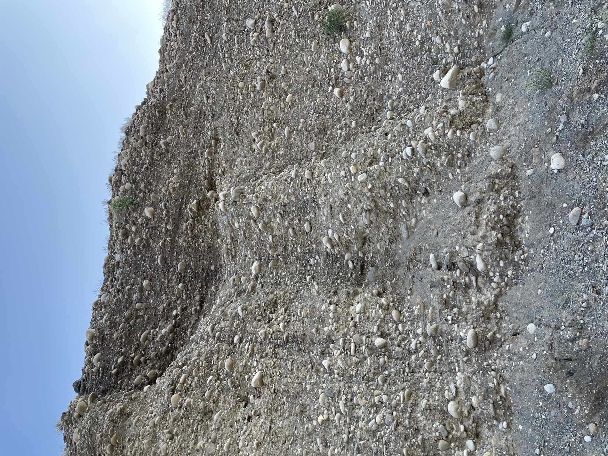 This image depicts a steep, rocky slope composed of various sizes of rounded pebbles and gravel embedded in a matrix of soil. The terrain is uneven and appears to be naturally formed, possibly a hillside or a dry riverbed. Sparse green vegetation is visible growing in patches on the slope and at its base. The sky above is clear and a light blue color. There are no people or any specific man-made objects readily apparent in the scene, suggesting a natural landscape. The location is identified as Ак-Сай, Kyrgyzstan.